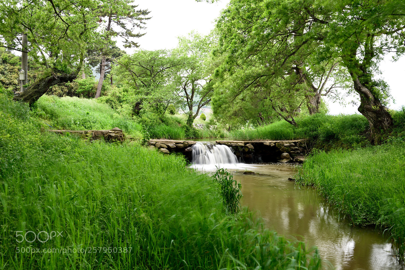 Nikon D810 sample photo. Wind scenery. photography