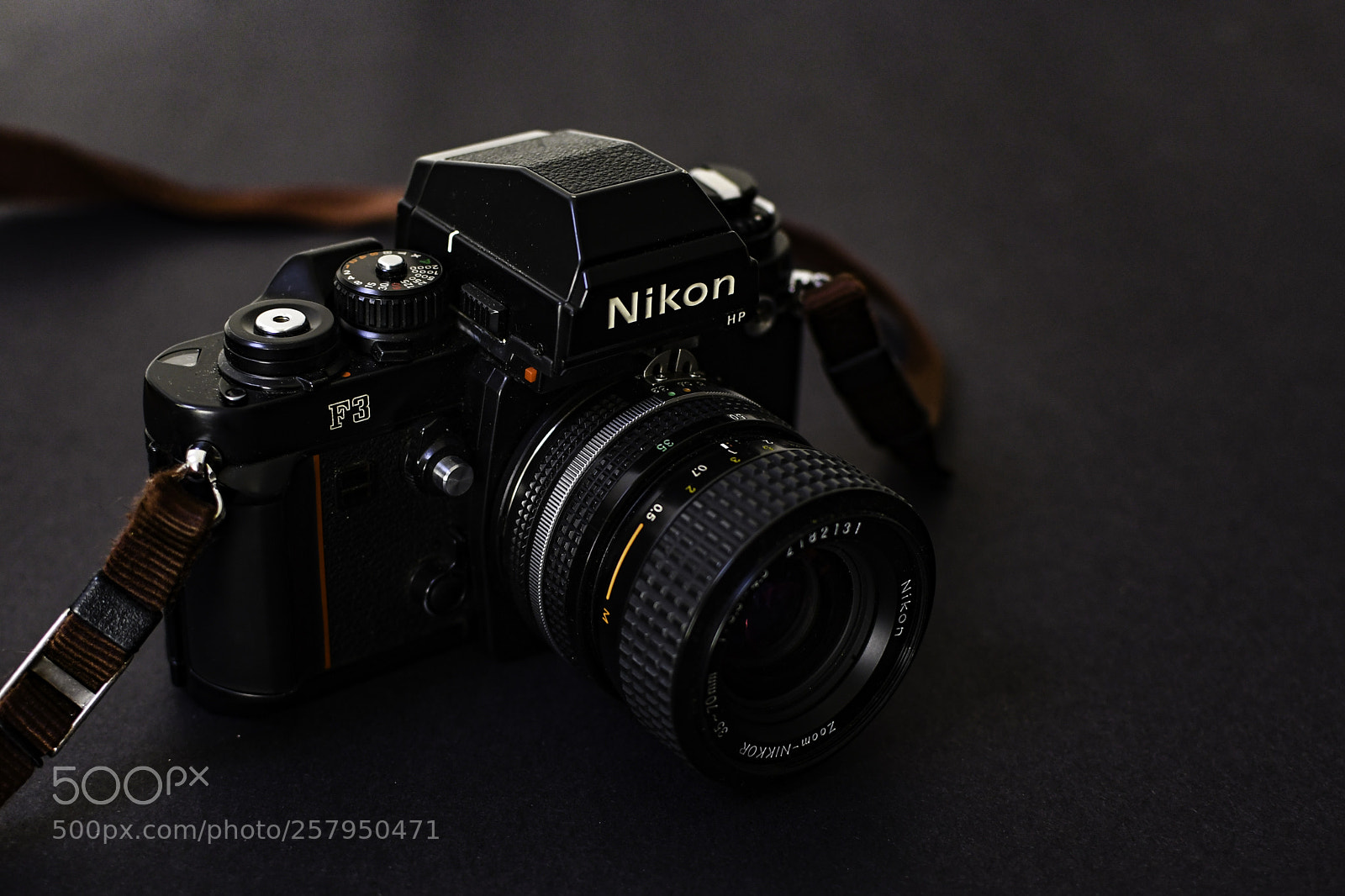 Nikon D7500 sample photo. A retired companion photography