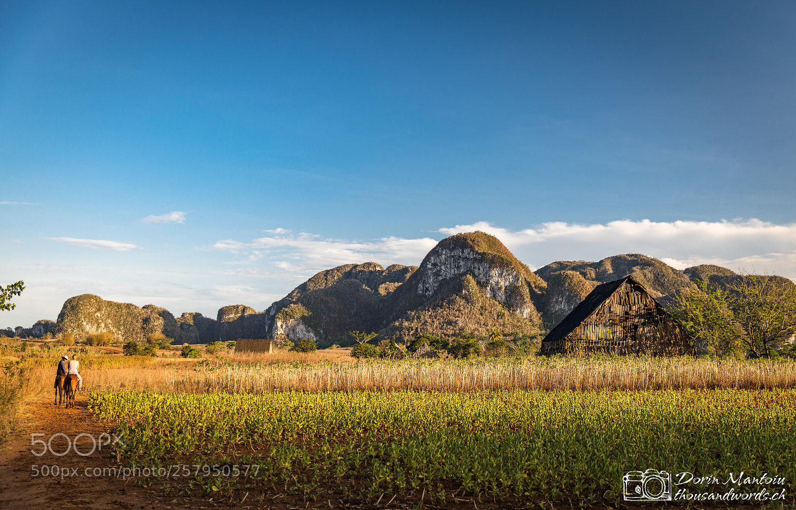 Canon EOS 5D Mark IV sample photo. Vinales photography