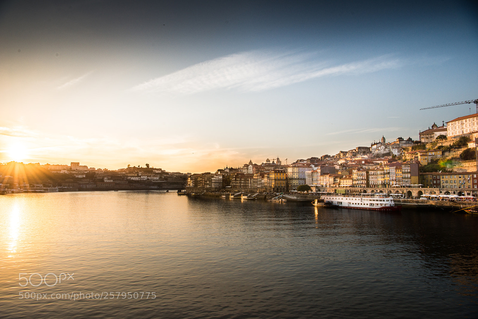 Nikon D800 sample photo. Porto - a walk photography