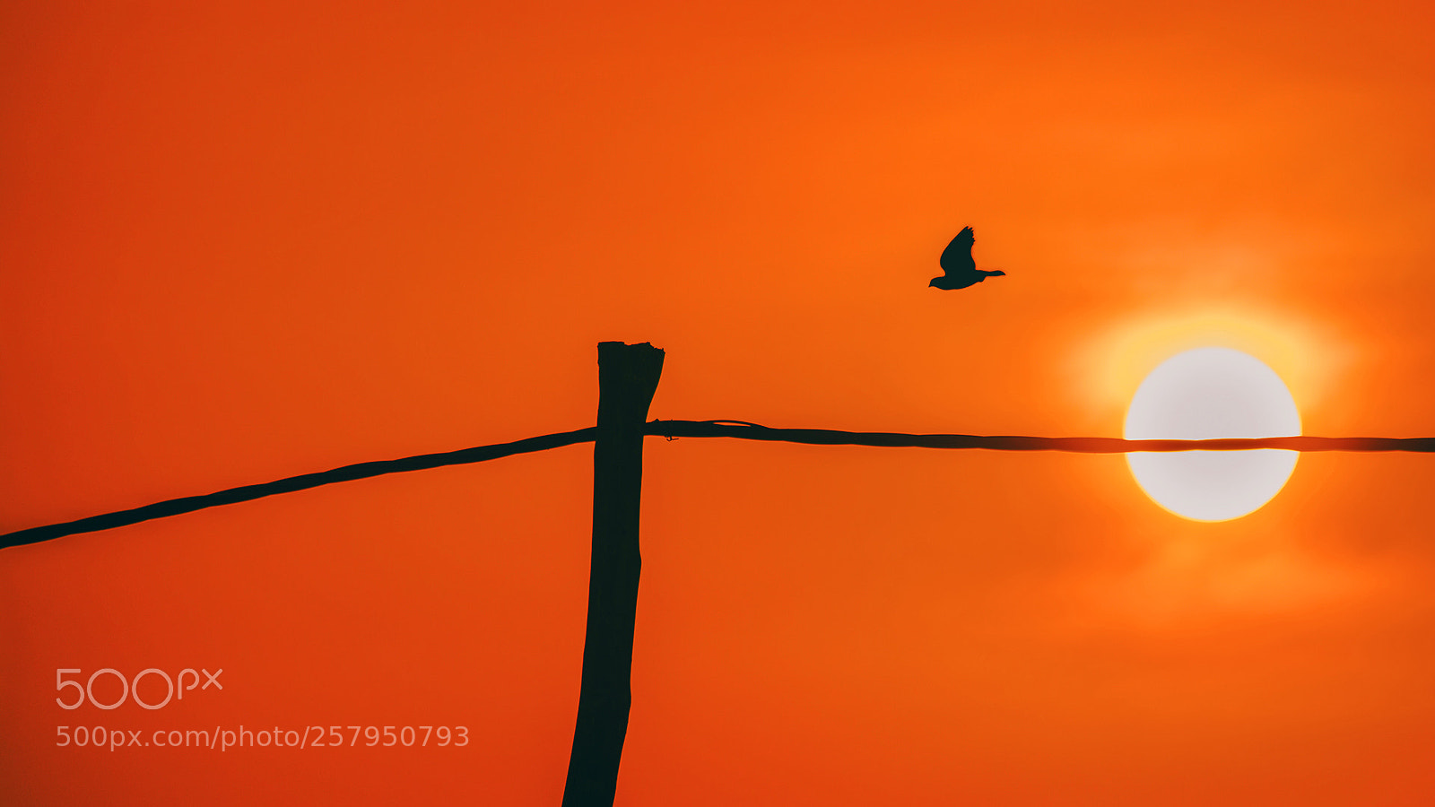 Nikon D7100 sample photo. When dawn breaks the photography
