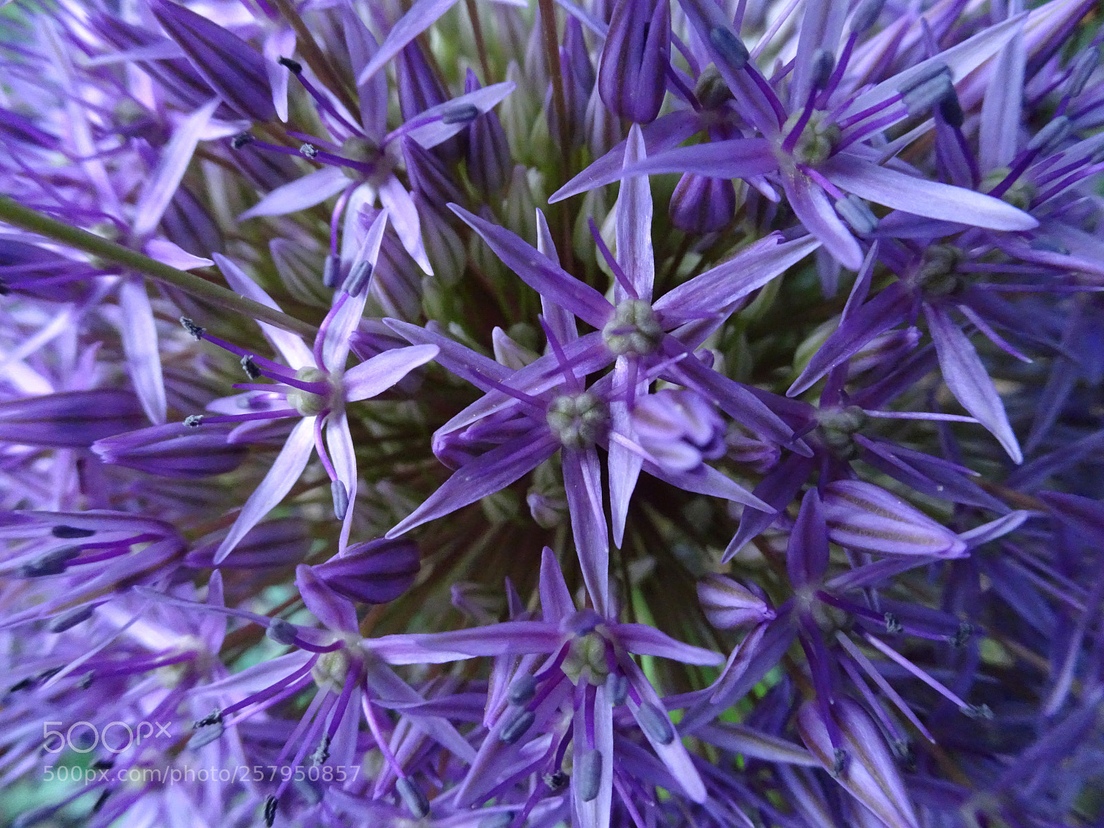 Sony Cyber-shot DSC-HX90V sample photo. Fantastic voyage  photography