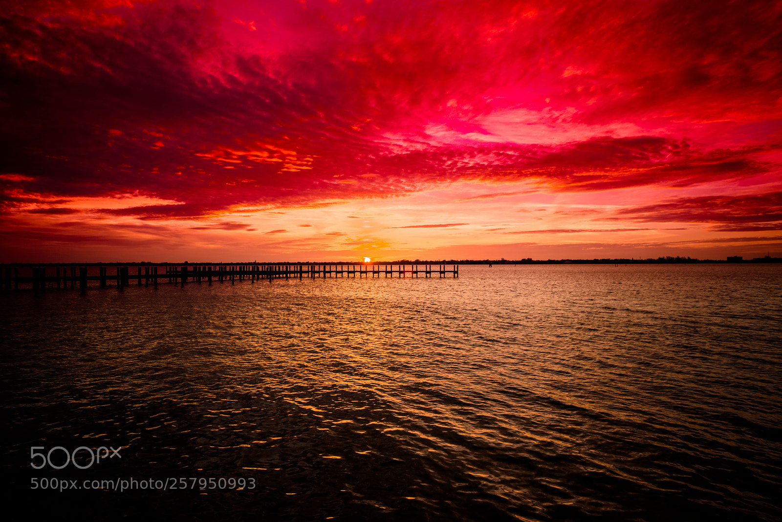 Nikon D600 sample photo. Fire sky at sunset photography
