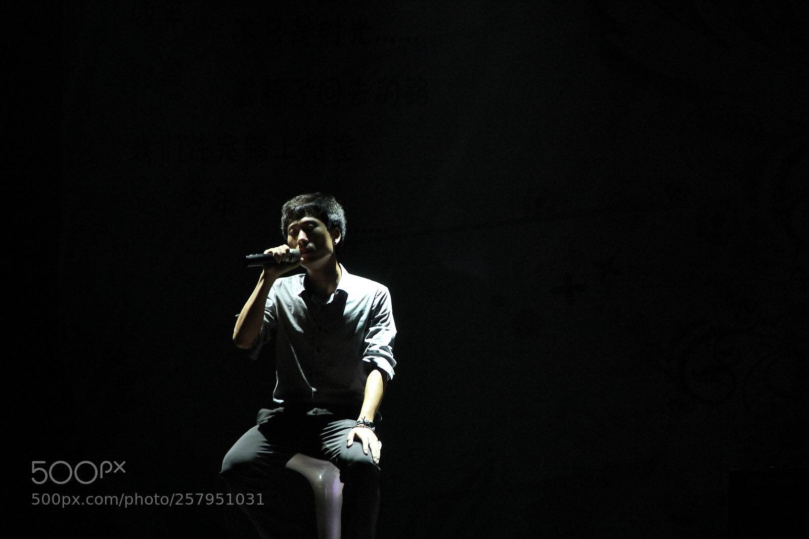 Canon EF-S 18-135mm F3.5-5.6 IS sample photo. Singer photography