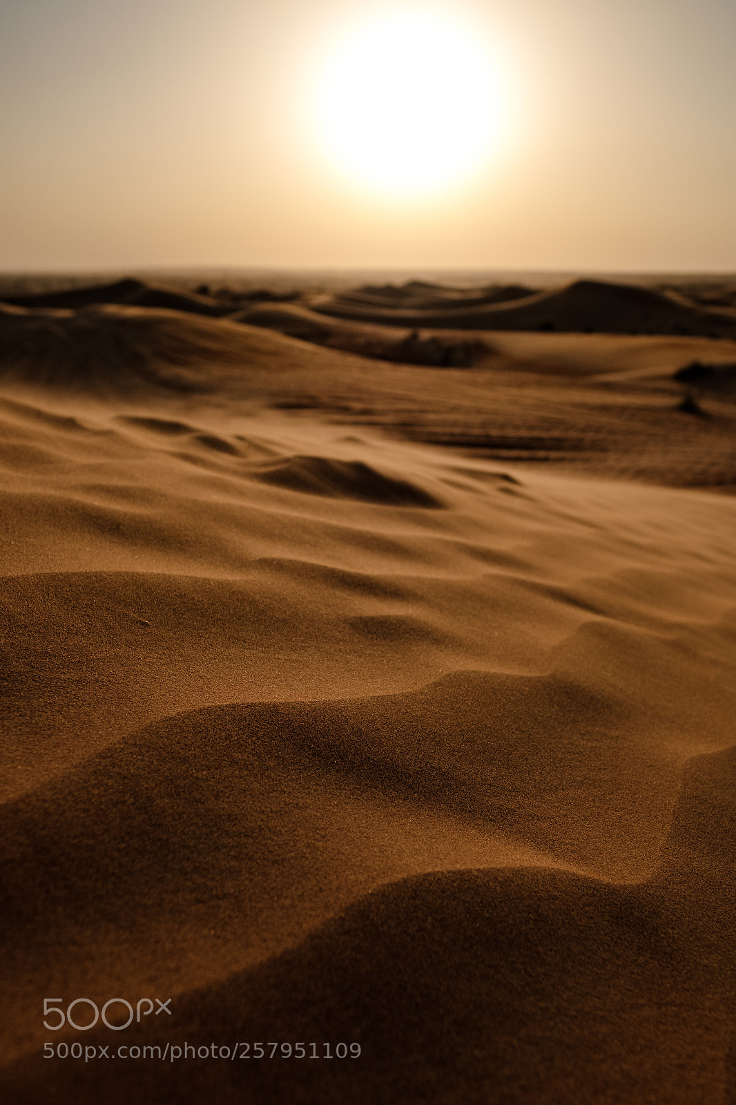 Fujifilm X-T2 sample photo. Waves in sand photography