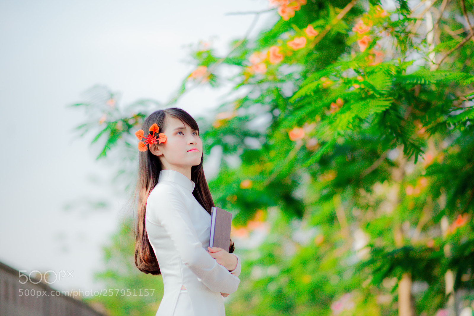 Nikon D600 sample photo. Summer 
 photography