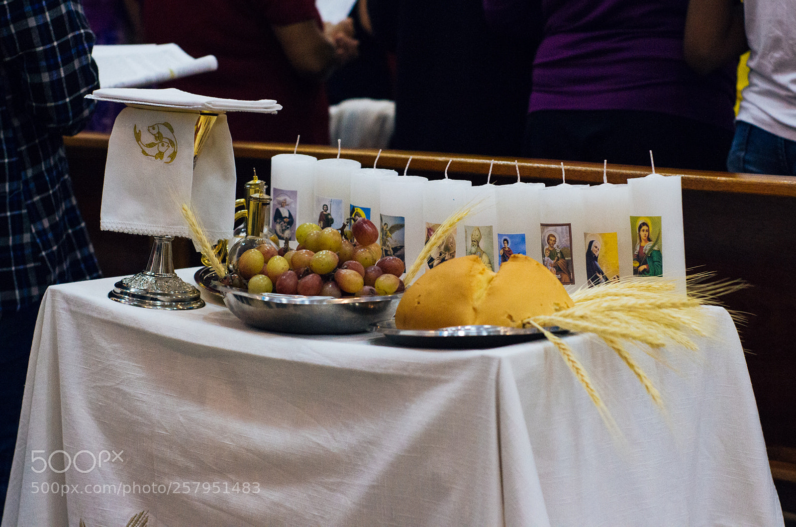 Canon EOS 700D (EOS Rebel T5i / EOS Kiss X7i) sample photo. Untitled photography