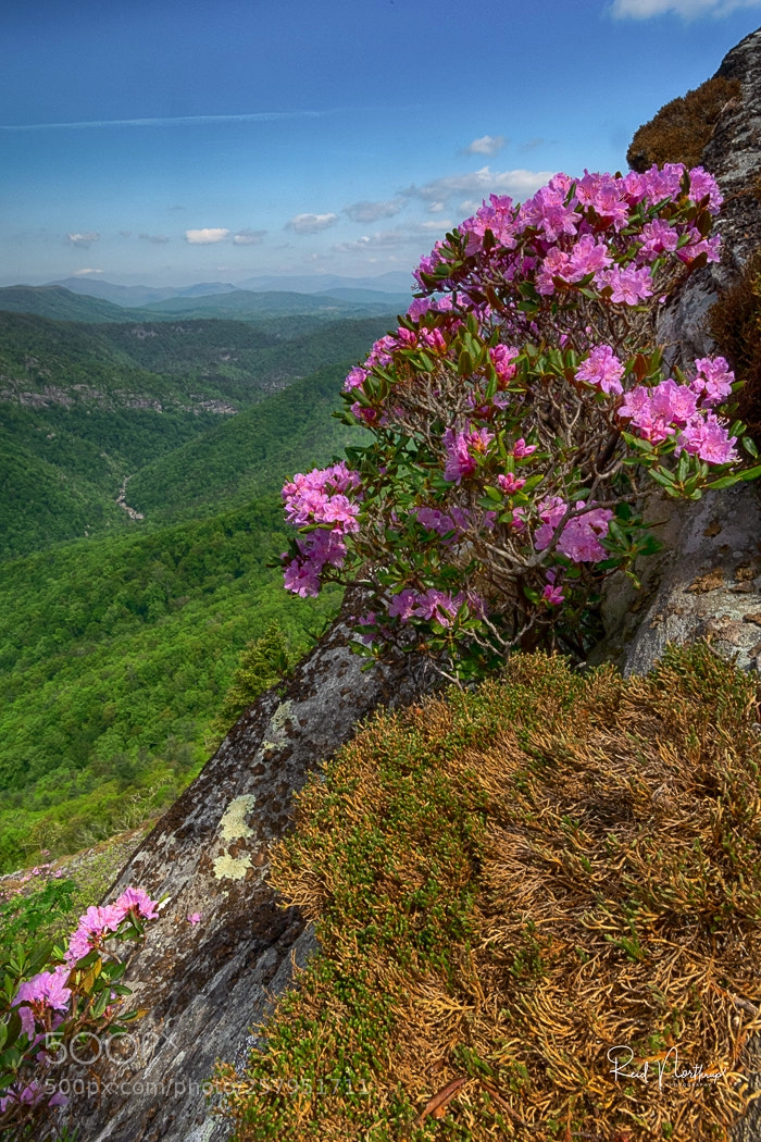 Nikon D850 sample photo. Hawksbill mountain - north photography