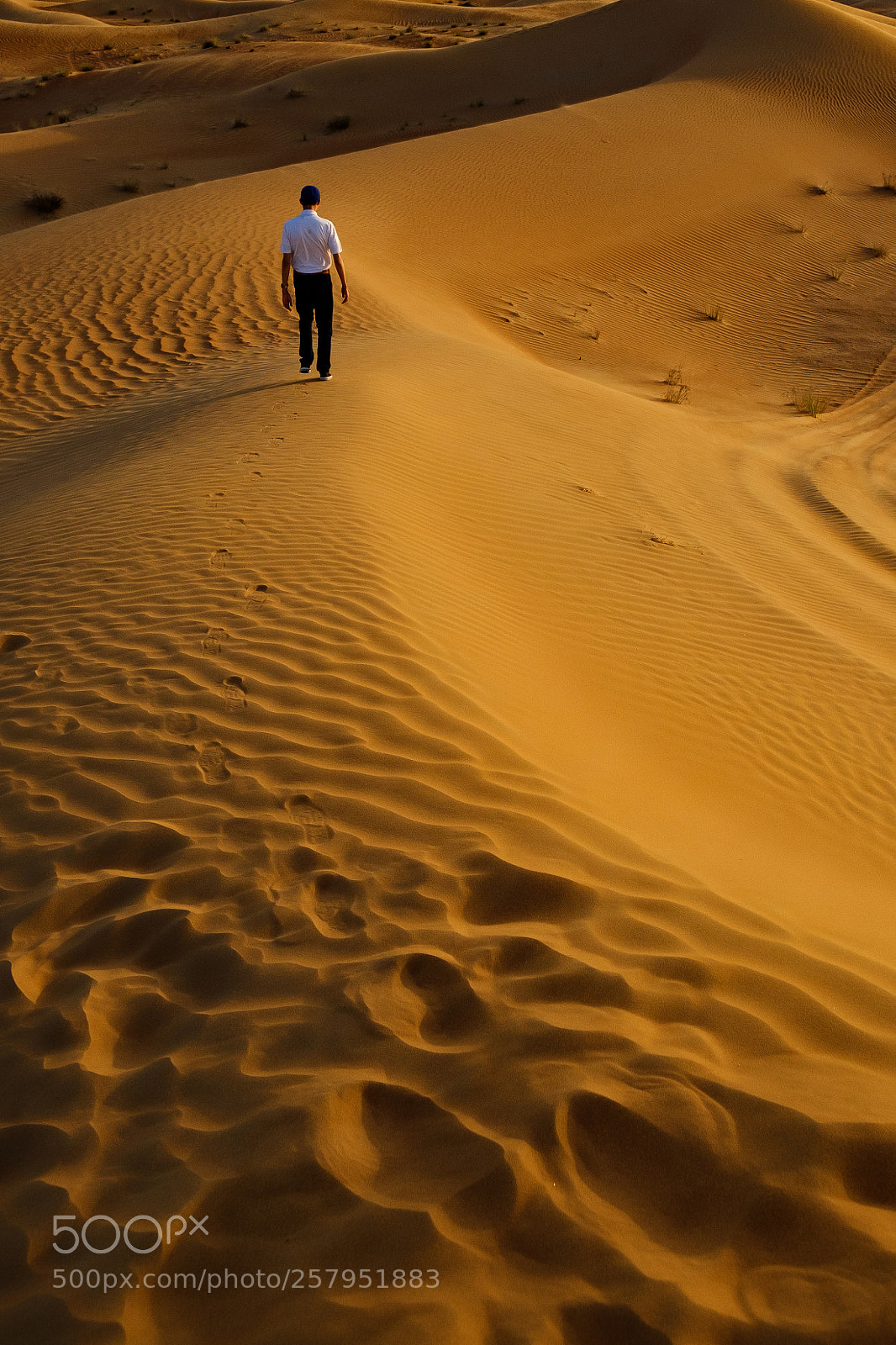 Fujifilm X-T2 sample photo. Exploring the desert photography