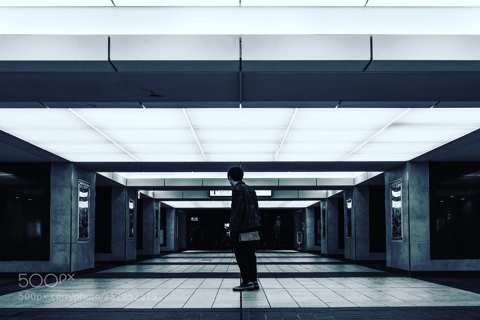 Sony a7 II sample photo. Neo tokyo photography