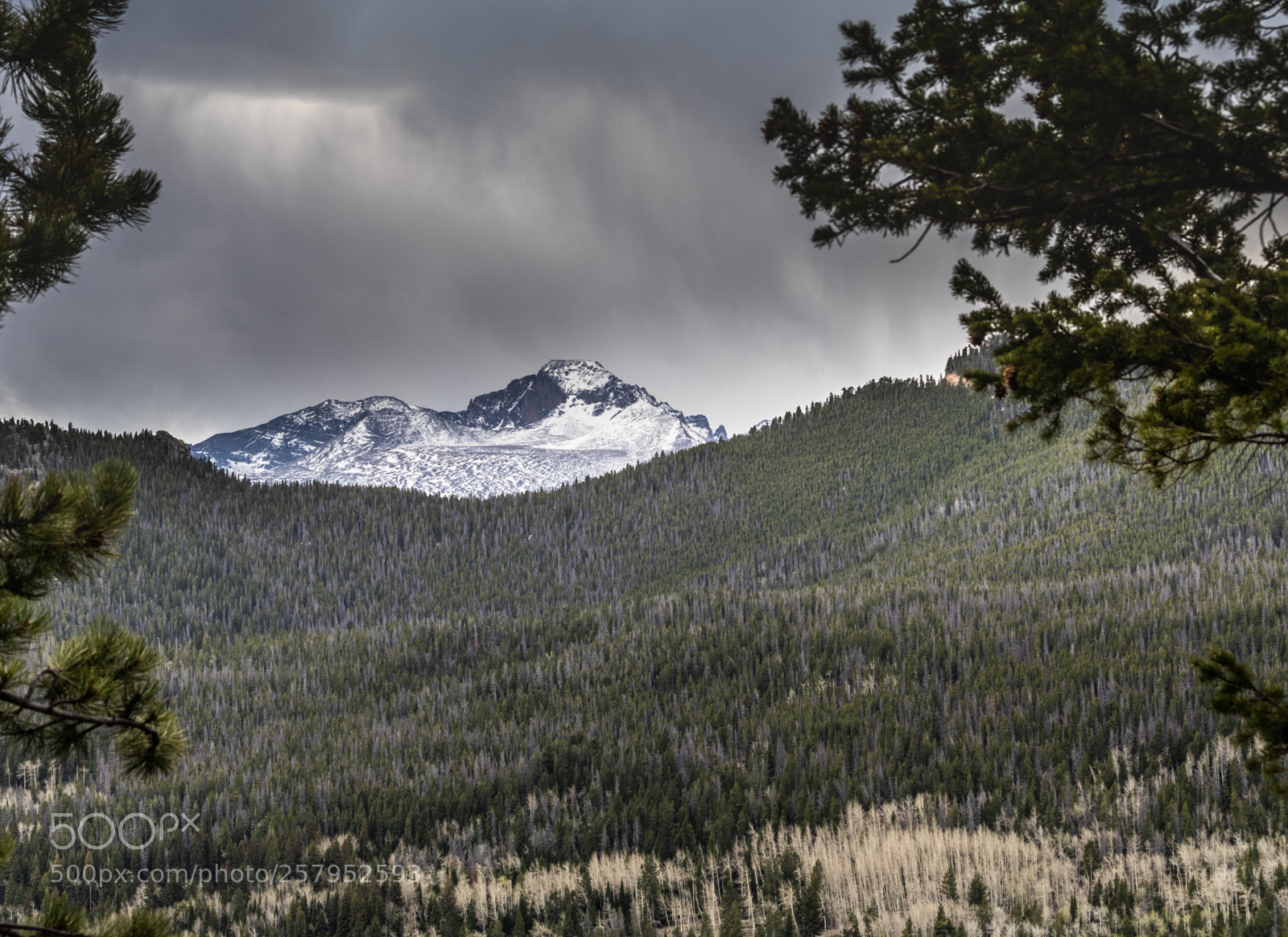Canon EOS 80D sample photo. Virga over longs peak photography