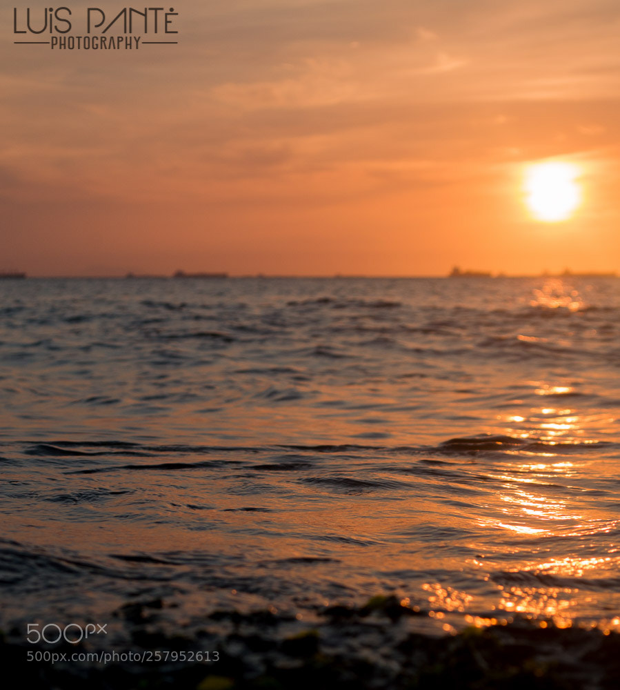 Nikon D3200 sample photo. Ocean and sun photography