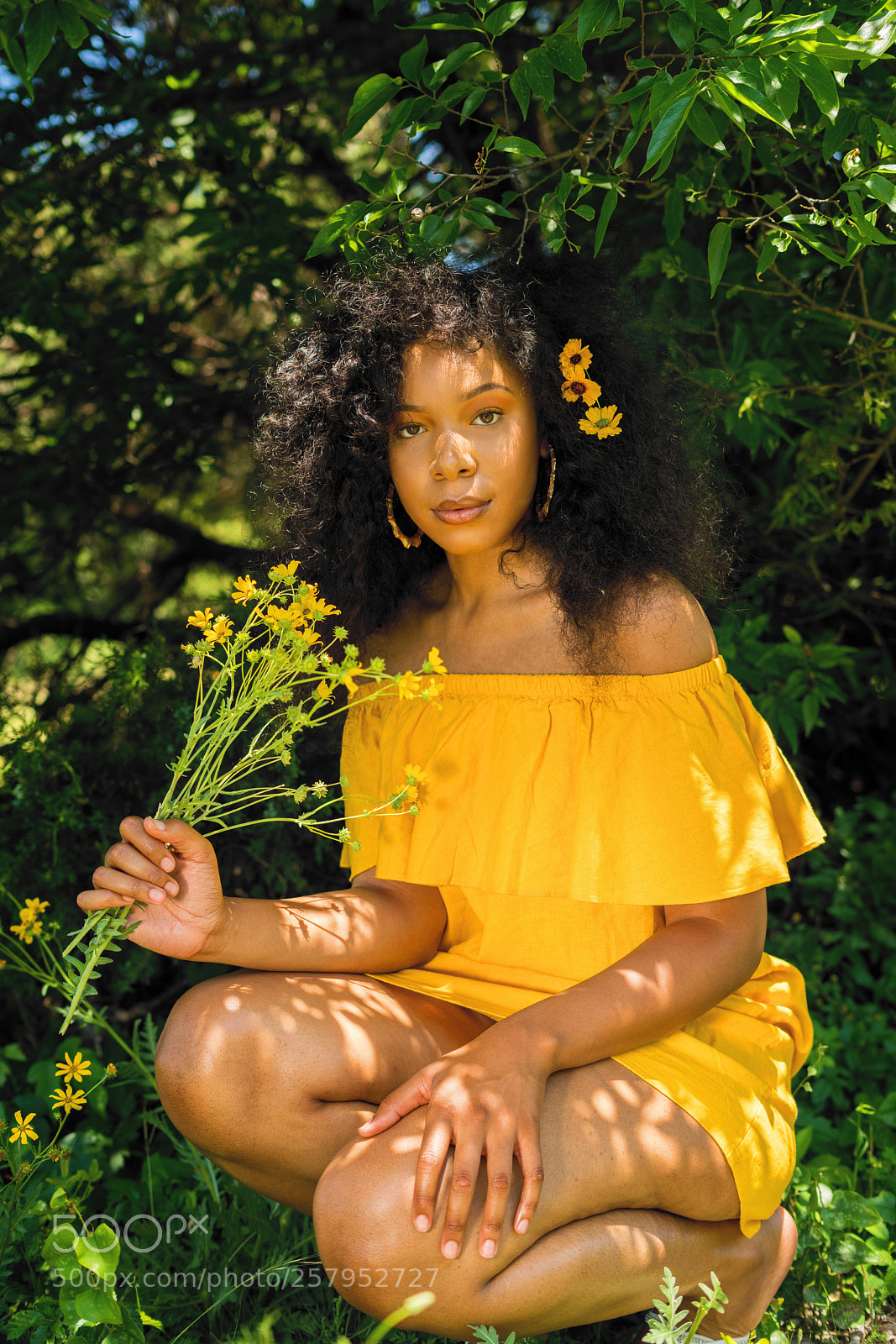 Sony a7R II sample photo. Summer flowers photography
