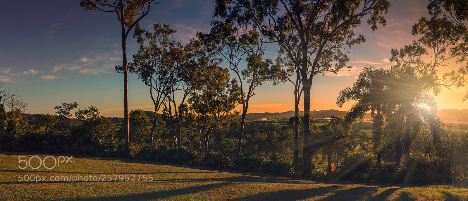 Nikon D5200 sample photo. Just another wonderful morning photography