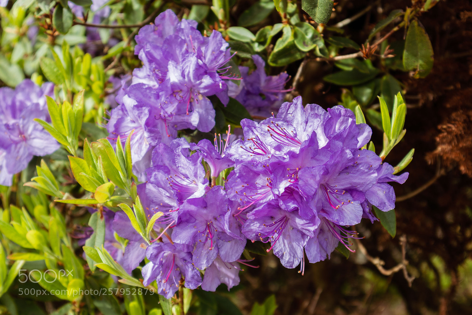 Canon EOS M5 sample photo. Untitled photography