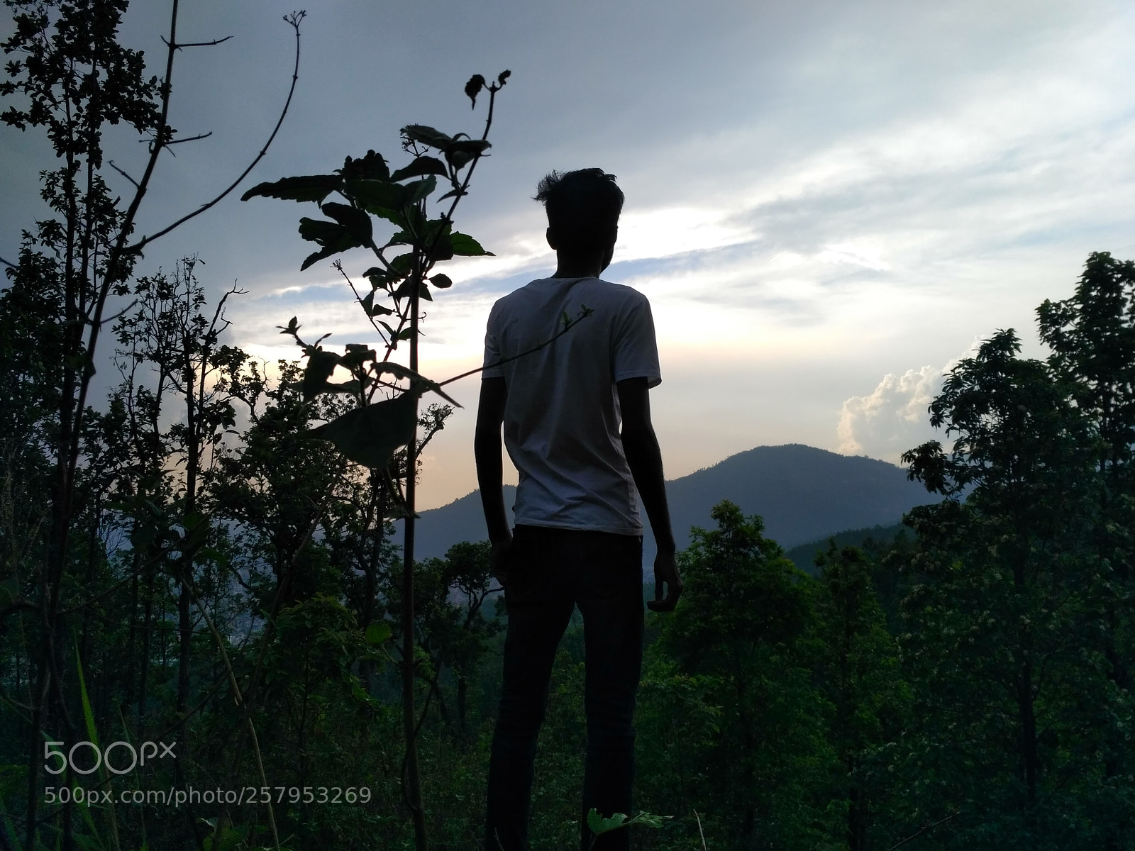 Xiaomi Redmi 3S sample photo. Absolute freedom photography