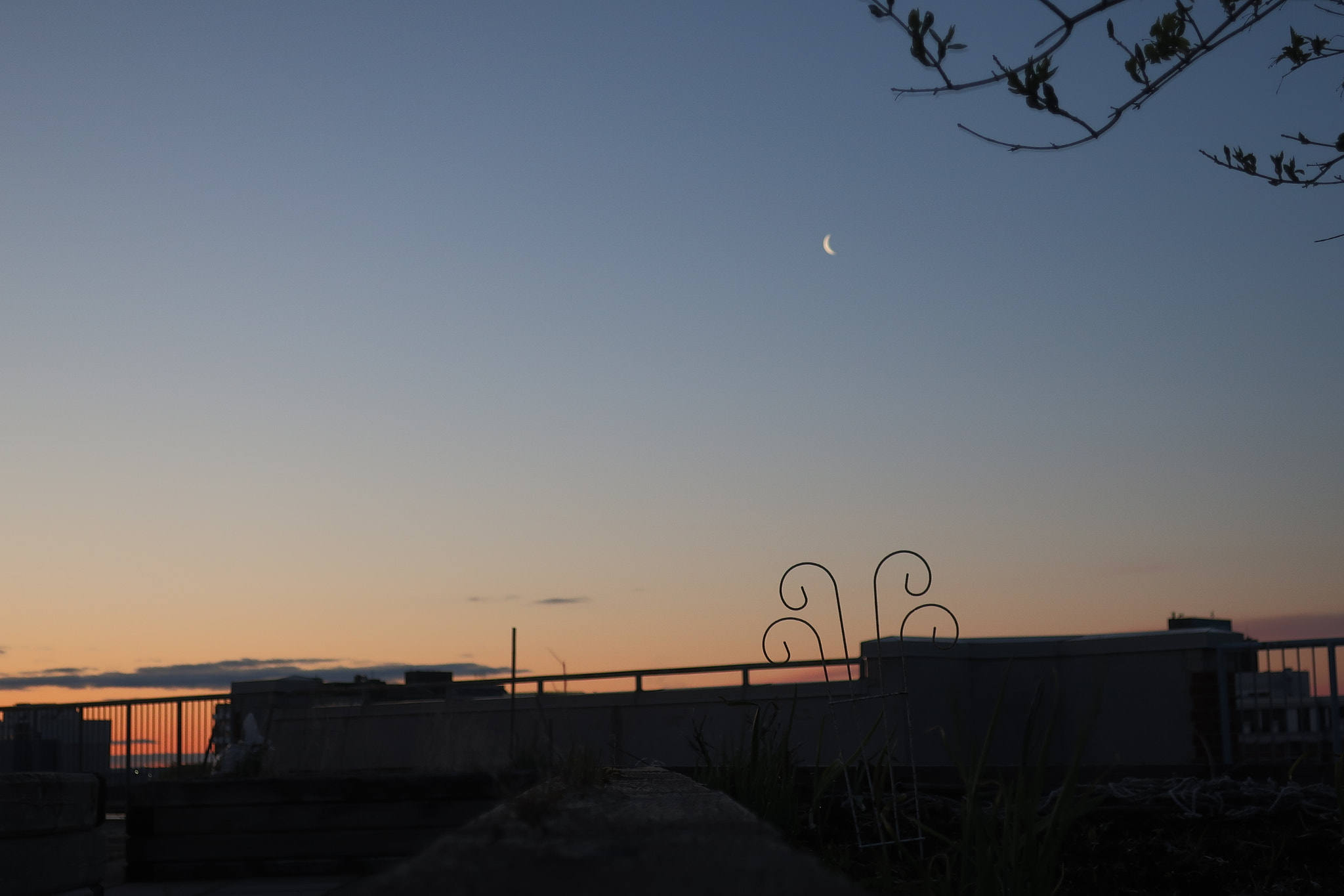 Canon PowerShot G9 X Mark II sample photo. Dawn moon photography