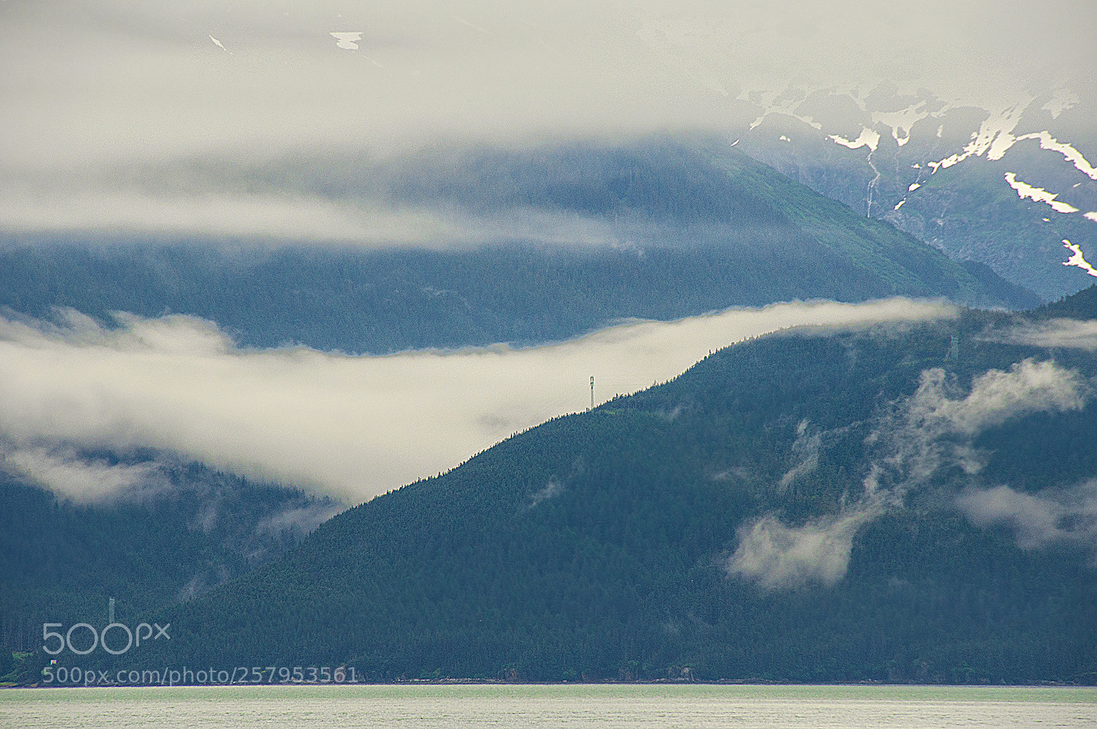 Nikon D90 sample photo. Quiet morning photography