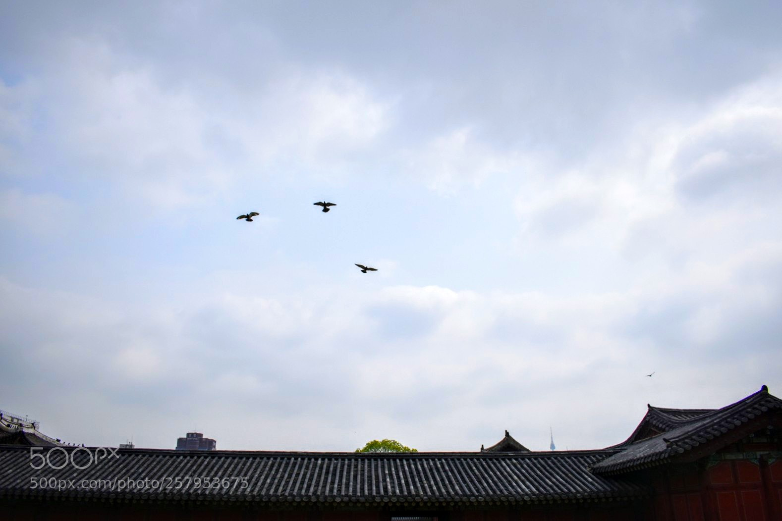 Nikon D5600 sample photo. Untitled photography