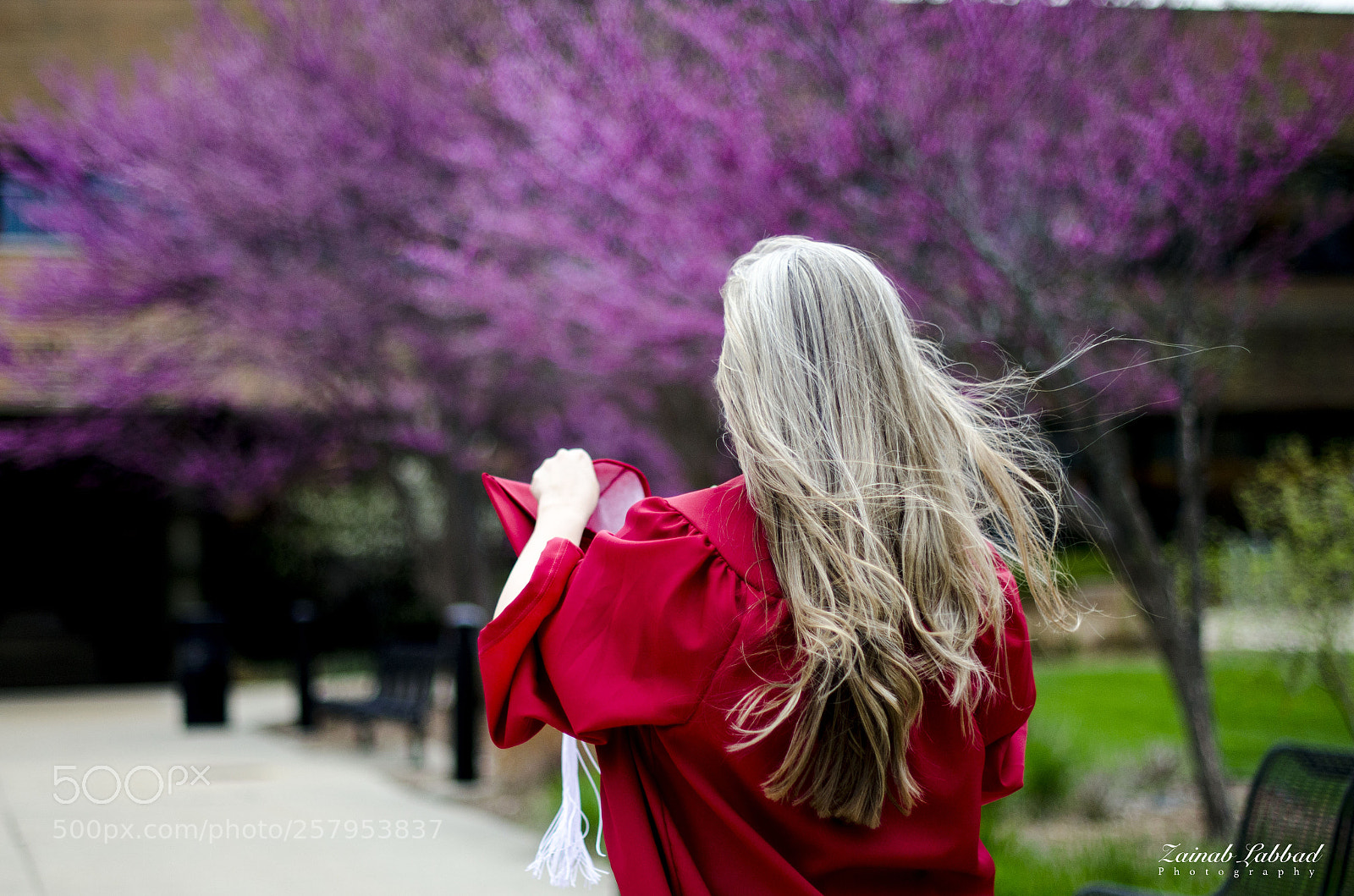 Nikon D7000 sample photo. Graduation photography