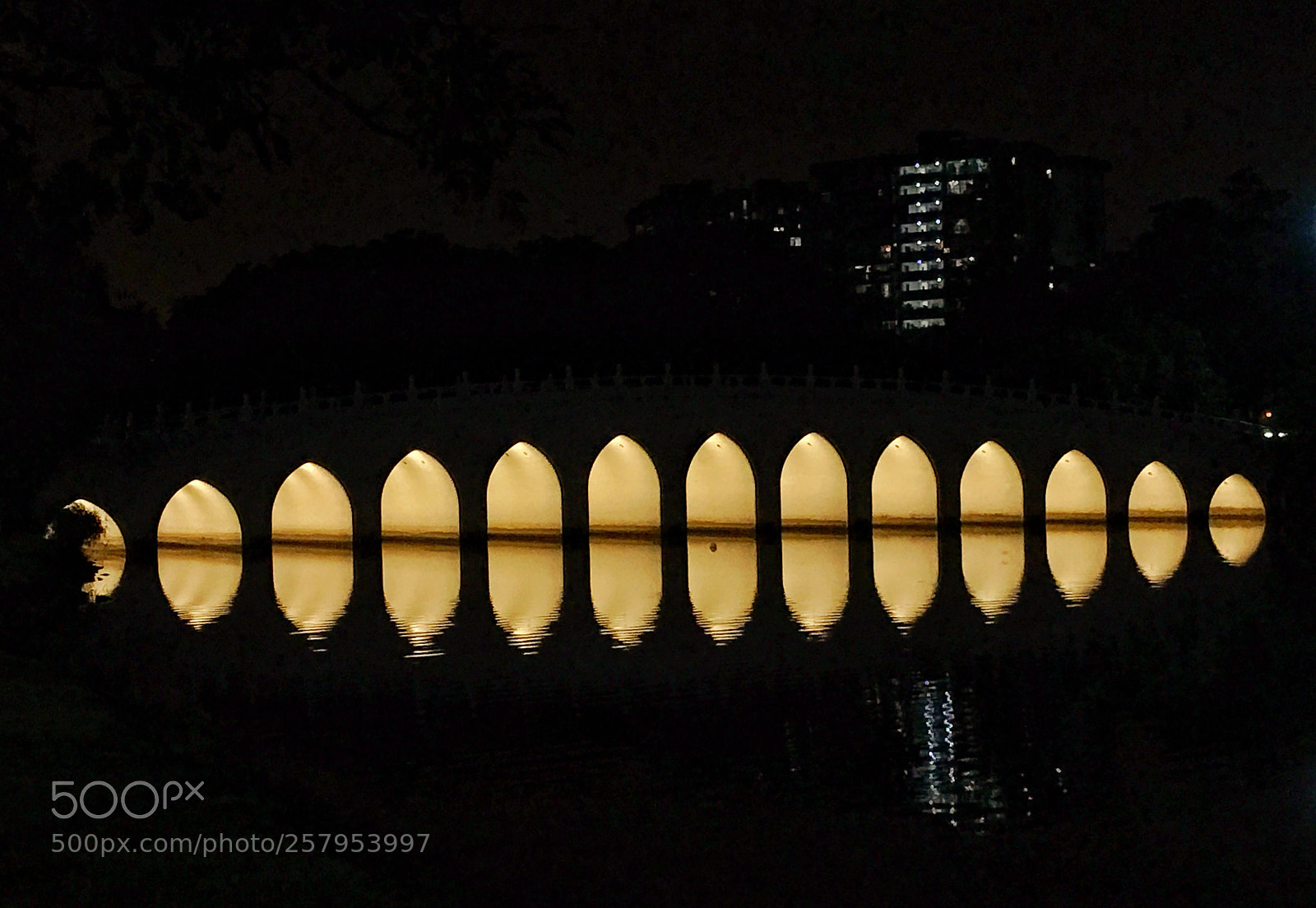 Apple iPhone 6s Plus sample photo. Bridge @ chinese gardens, singapore photography