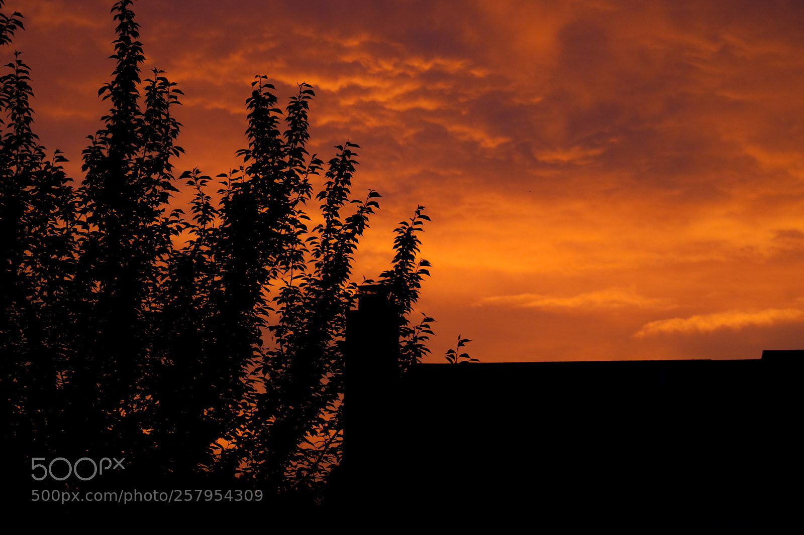 Canon EOS 750D (EOS Rebel T6i / EOS Kiss X8i) sample photo. Suburban sunset photography