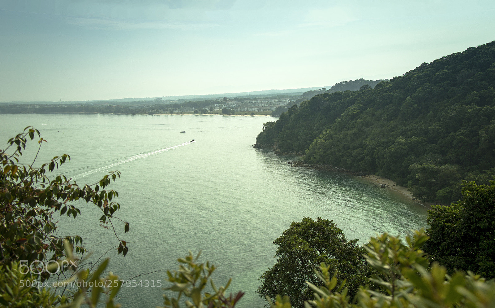 Nikon D3200 sample photo. The view photography