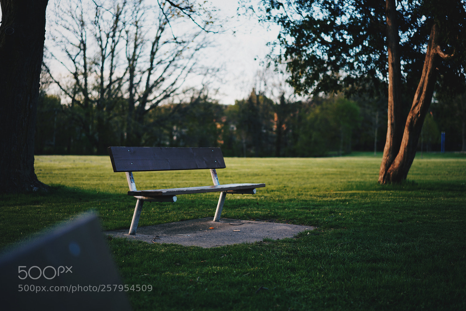 Sony a7R III sample photo. Chair photography