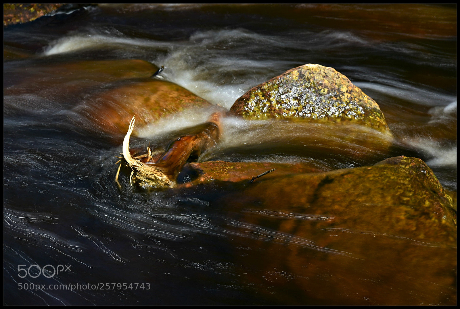 Nikon AF-S Nikkor 24-120mm F4G ED VR sample photo. The spring melt photography
