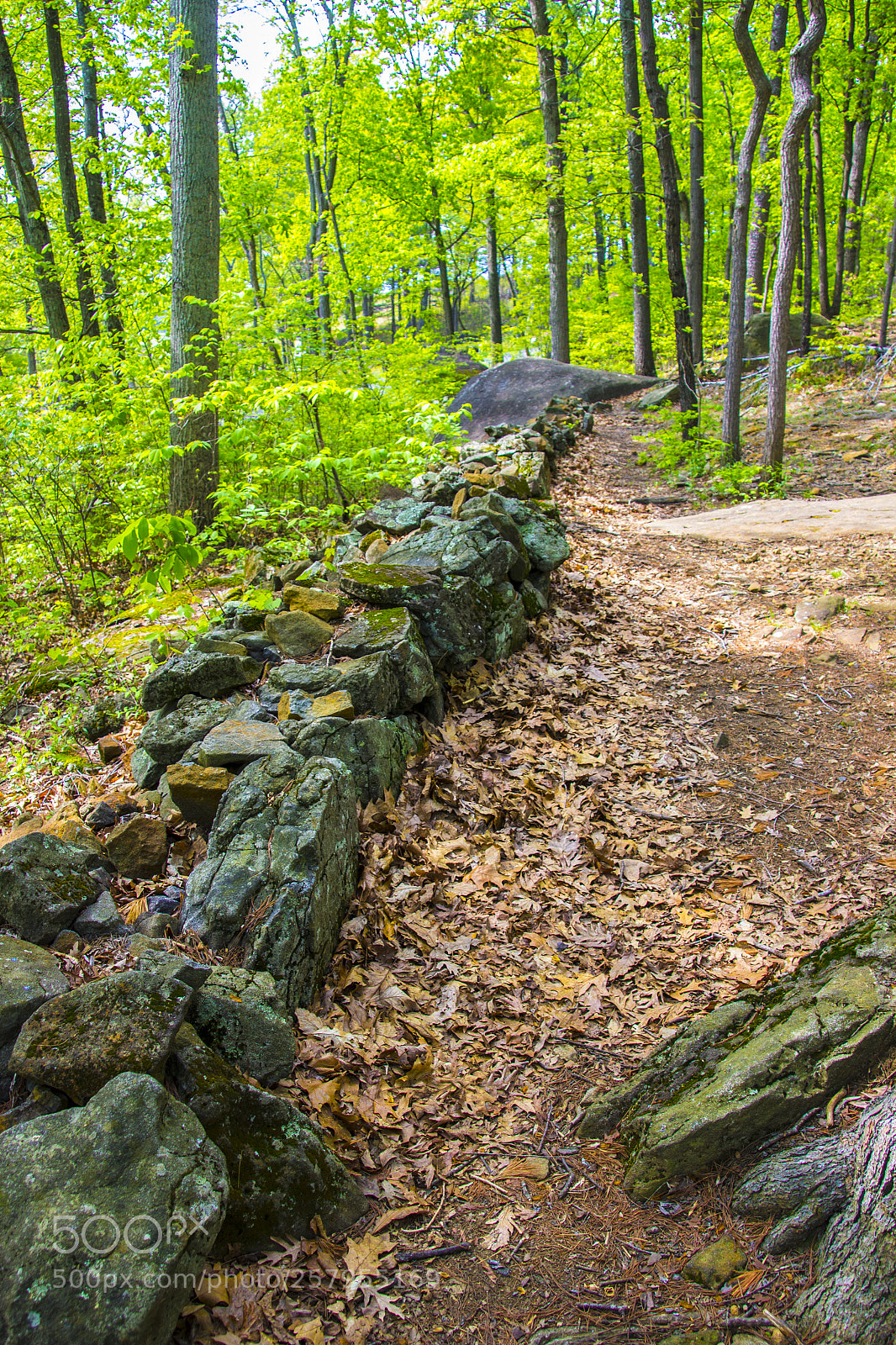Canon EOS 600D (Rebel EOS T3i / EOS Kiss X5) sample photo. Gettysburg little round top 3 photography