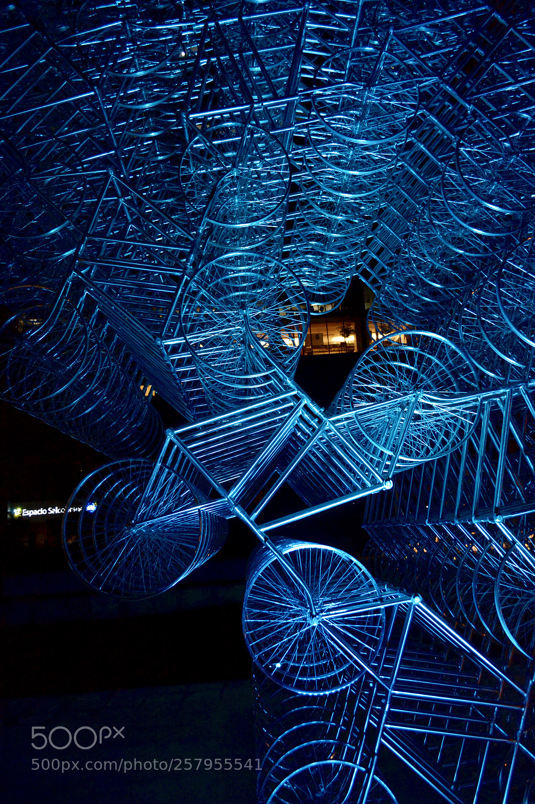 Nikon D3100 sample photo. Ai wei wei exhibition photography