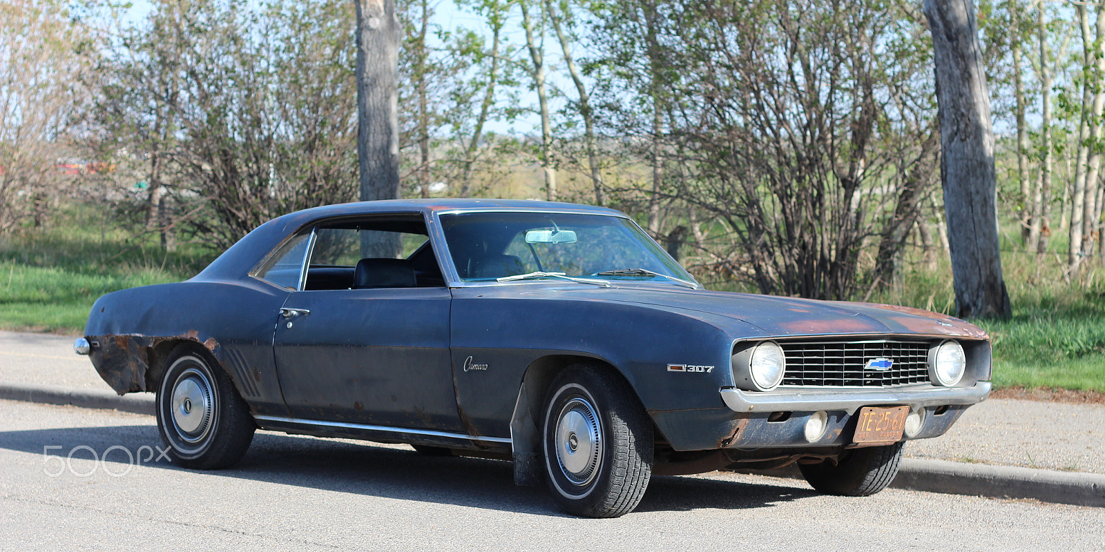Canon EOS 650D (EOS Rebel T4i / EOS Kiss X6i) sample photo. 1969 chevrolet camaro photography