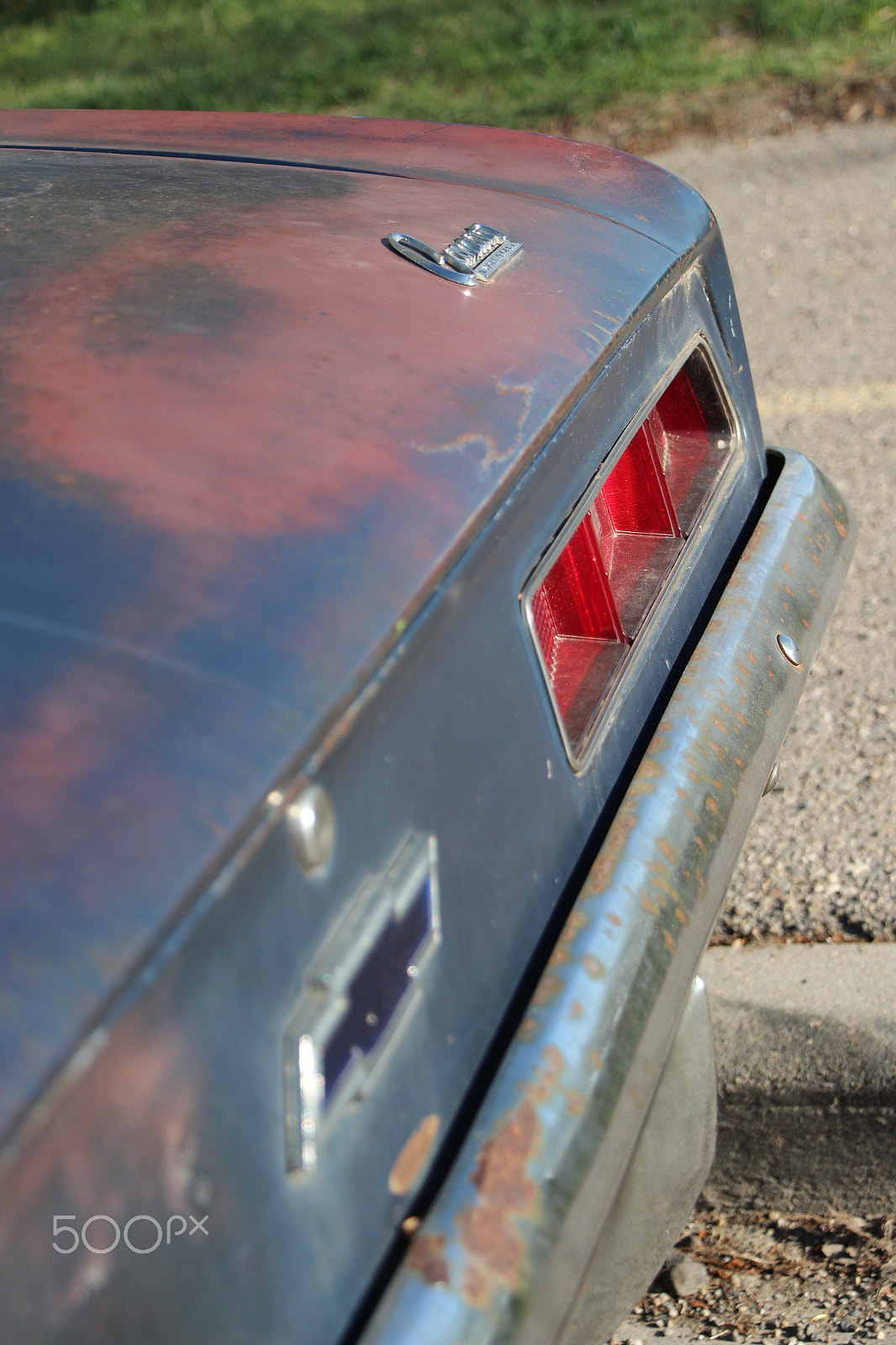 Canon EOS 650D (EOS Rebel T4i / EOS Kiss X6i) sample photo. 1969 chevrolet camaro photography