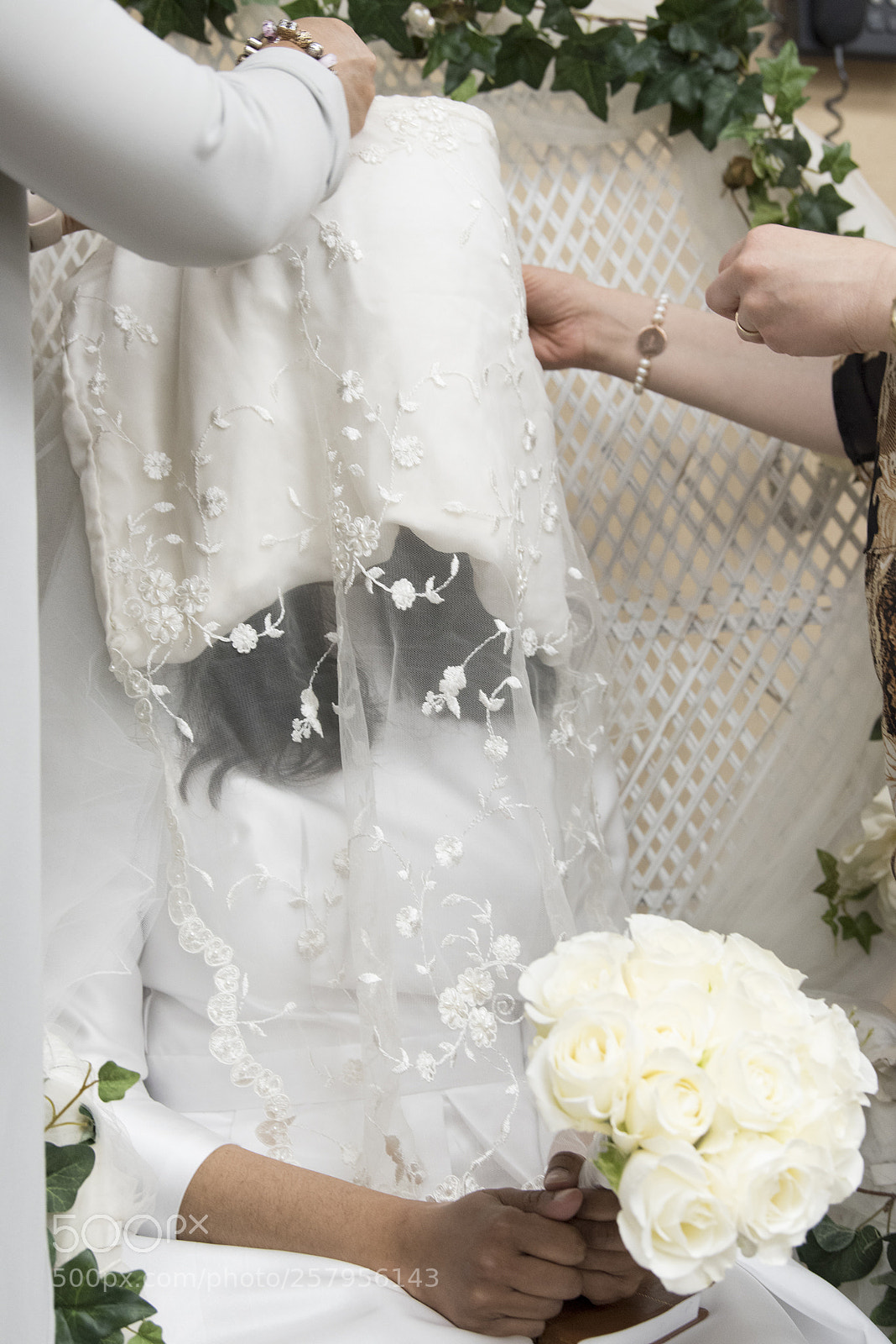 Nikon D750 sample photo. Taylor photography