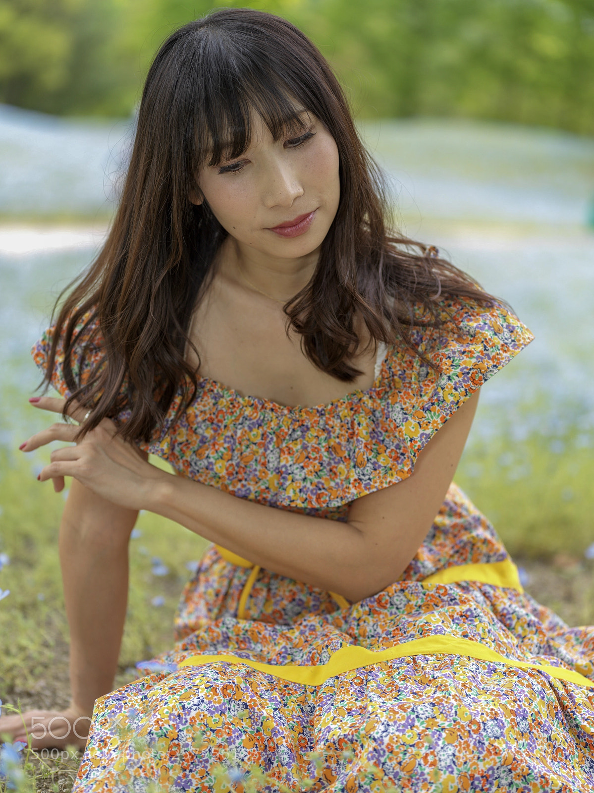 Hasselblad X1D-50c sample photo. Spring weather at the photography