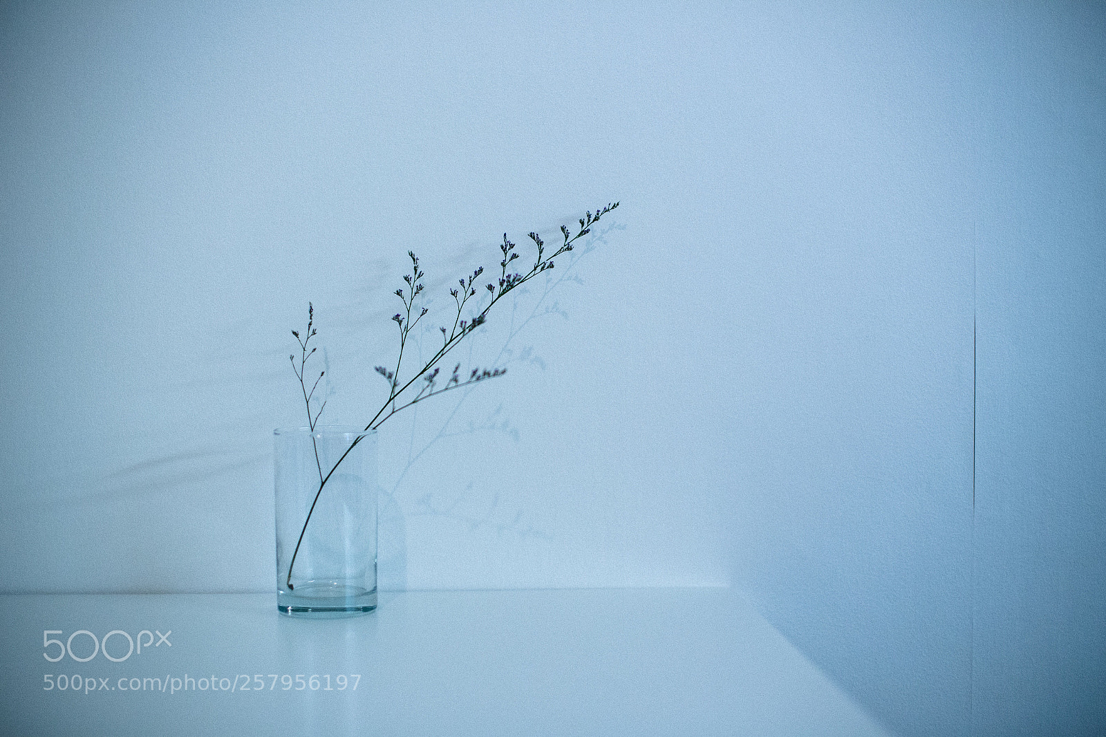 Canon EOS 6D sample photo. Untitled photography