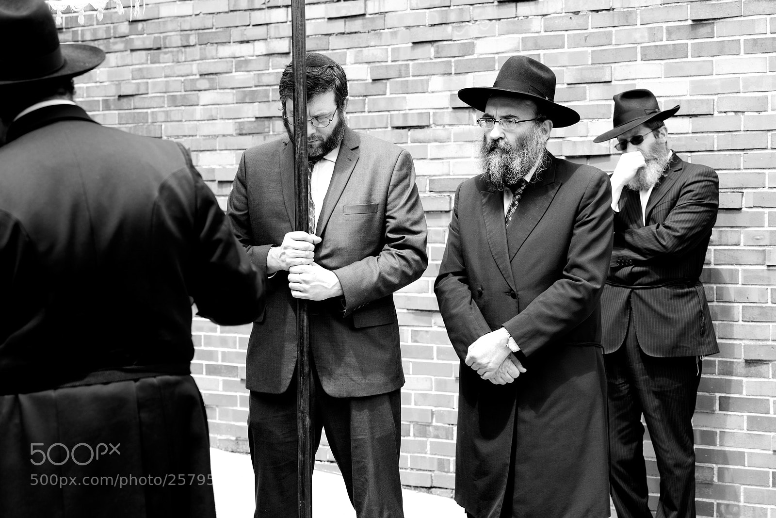Nikon D750 sample photo. Taylor photography