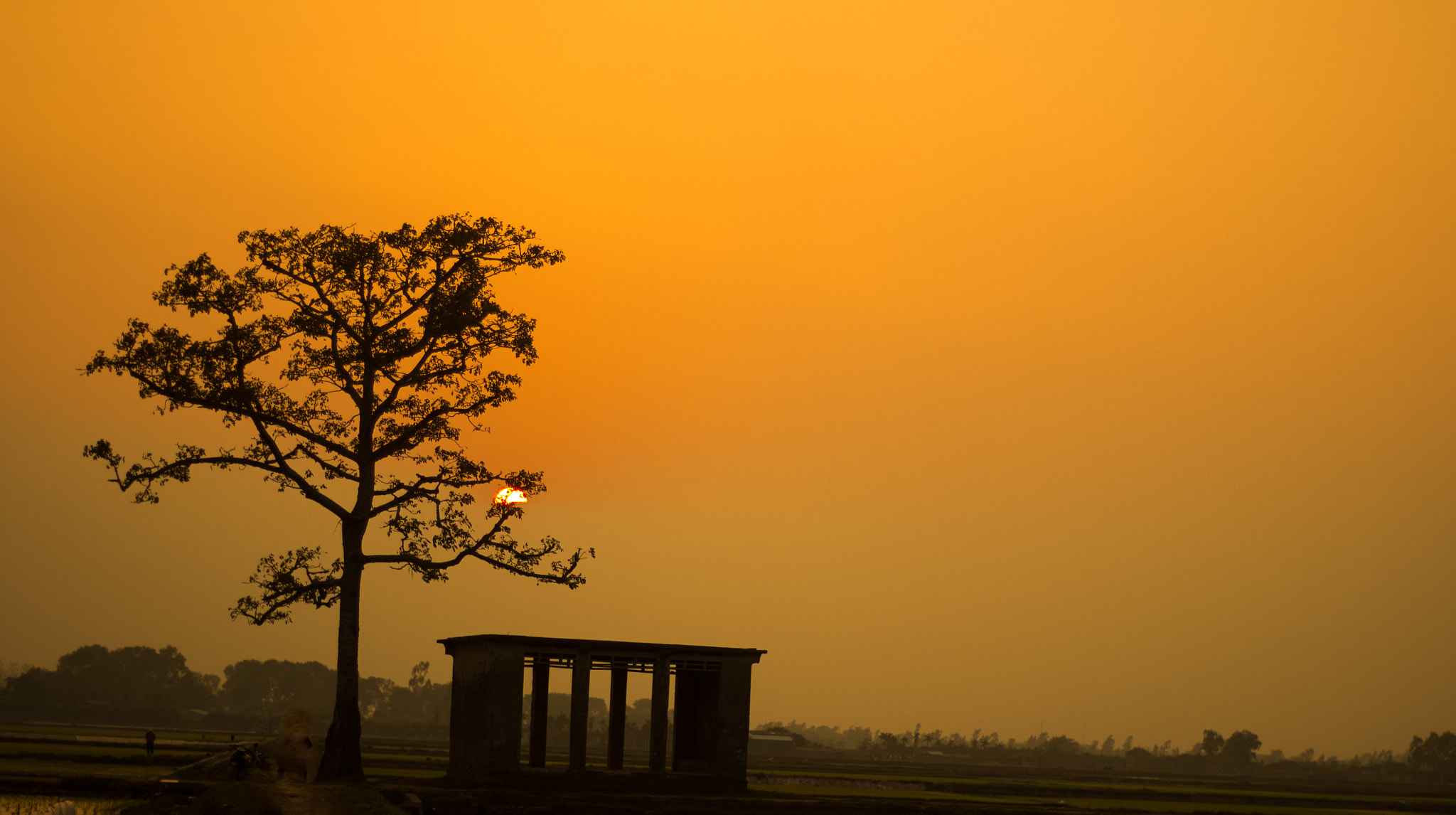 Canon EOS 600D (Rebel EOS T3i / EOS Kiss X5) sample photo. Sundown in the field photography