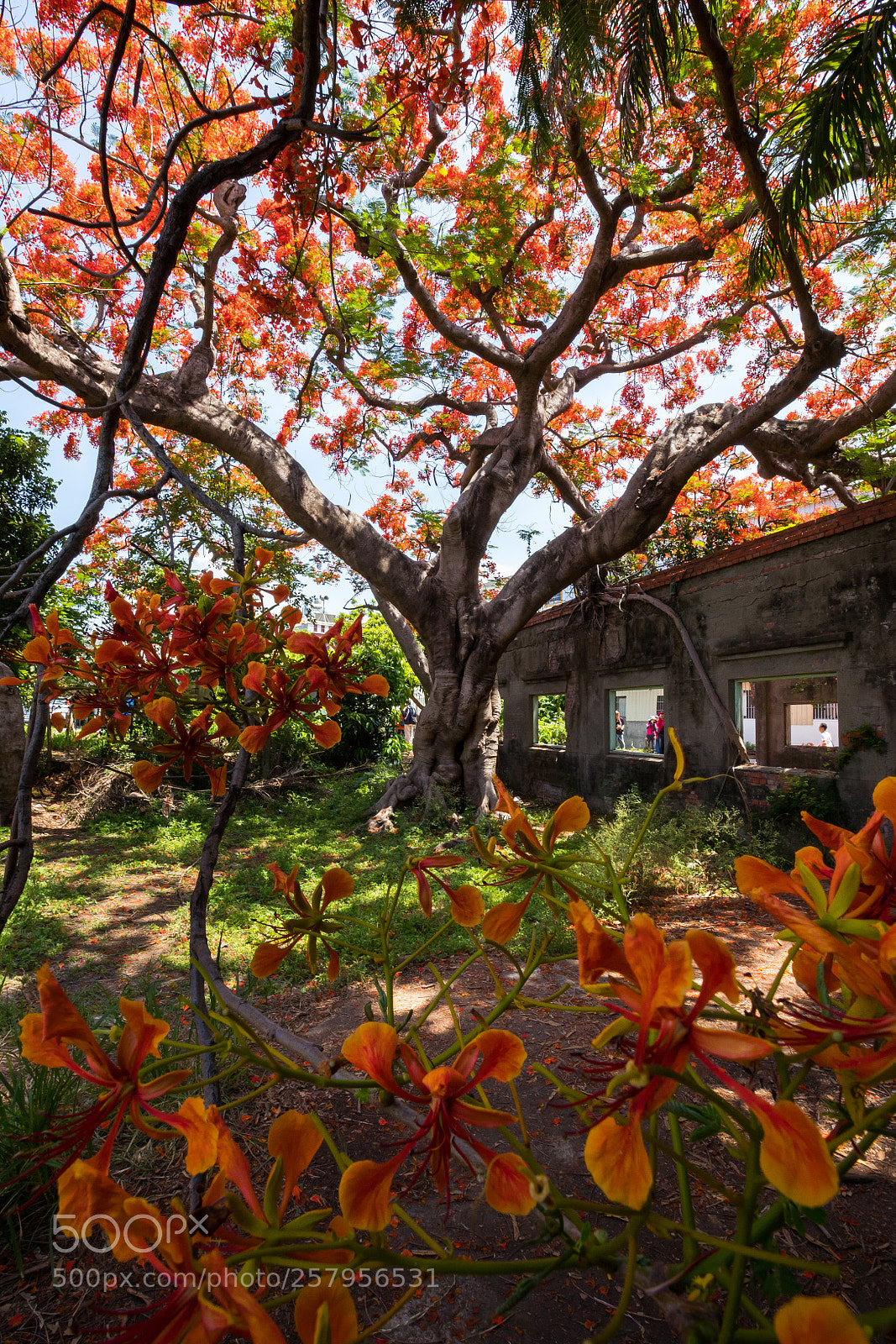Canon EOS 6D Mark II sample photo. Untitled photography