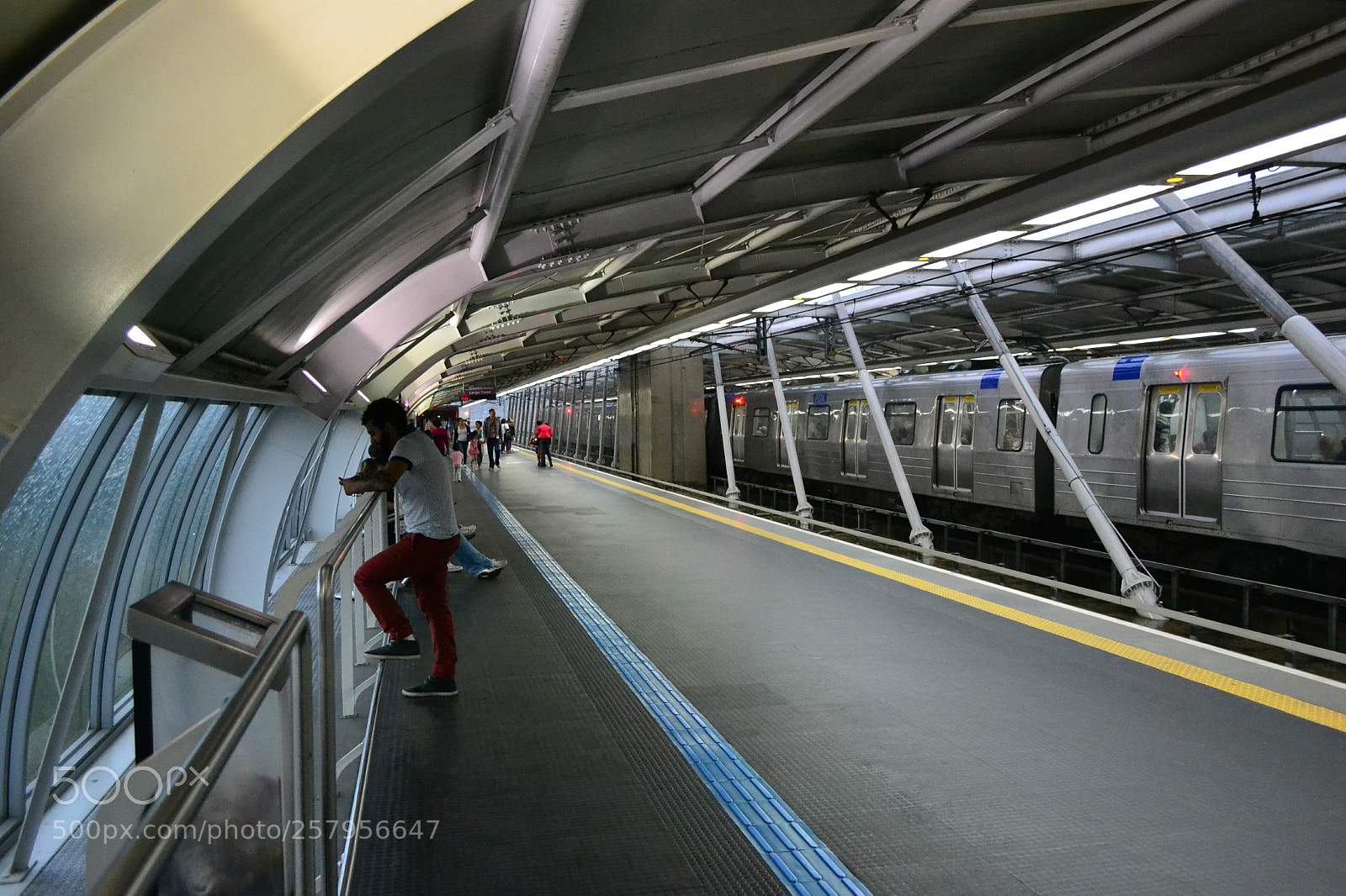 Nikon D3100 sample photo. Untitled photography