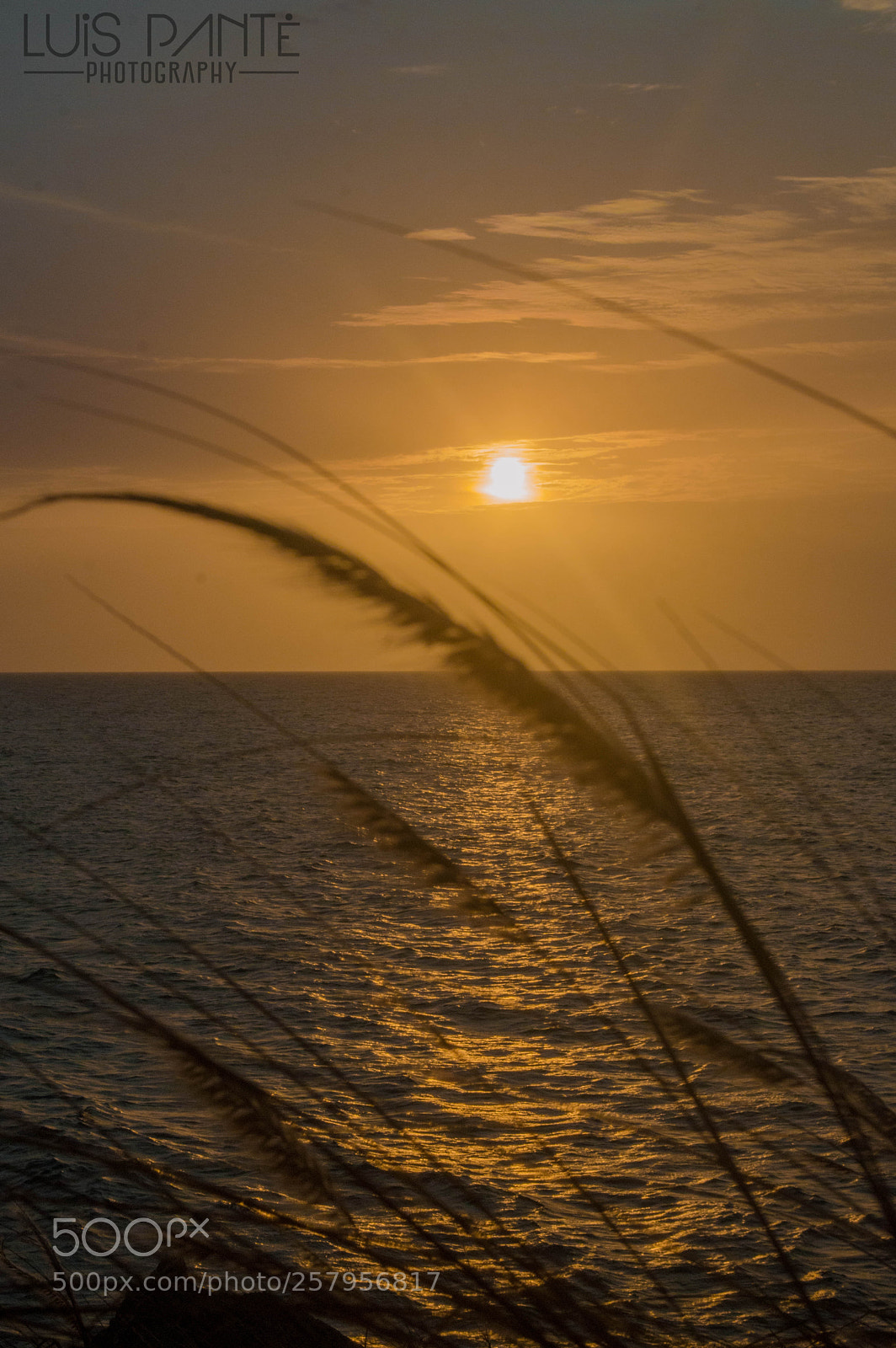 Nikon D3200 sample photo. Passenger photography