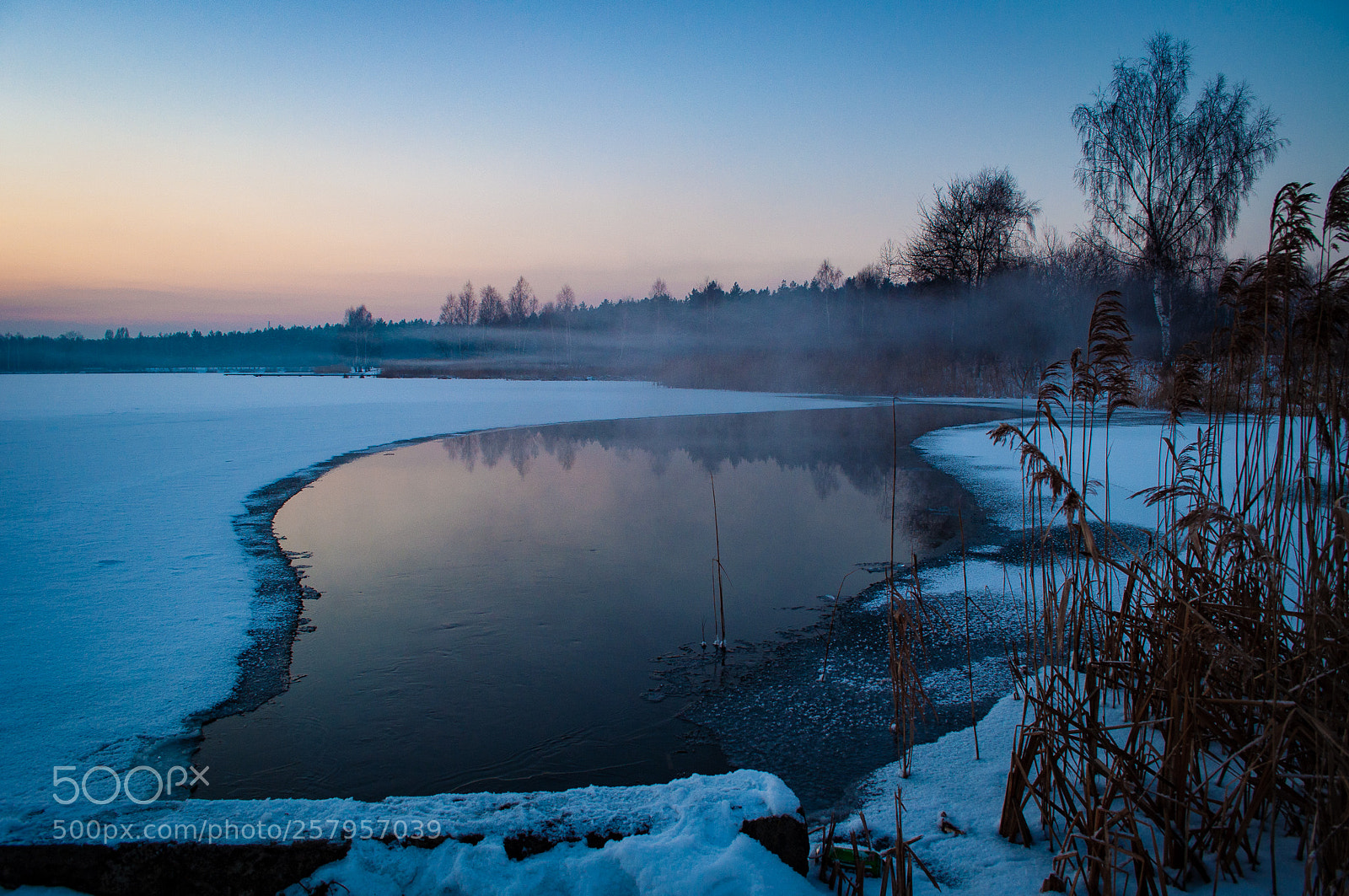 Nikon D5000 sample photo. Misty lake photography