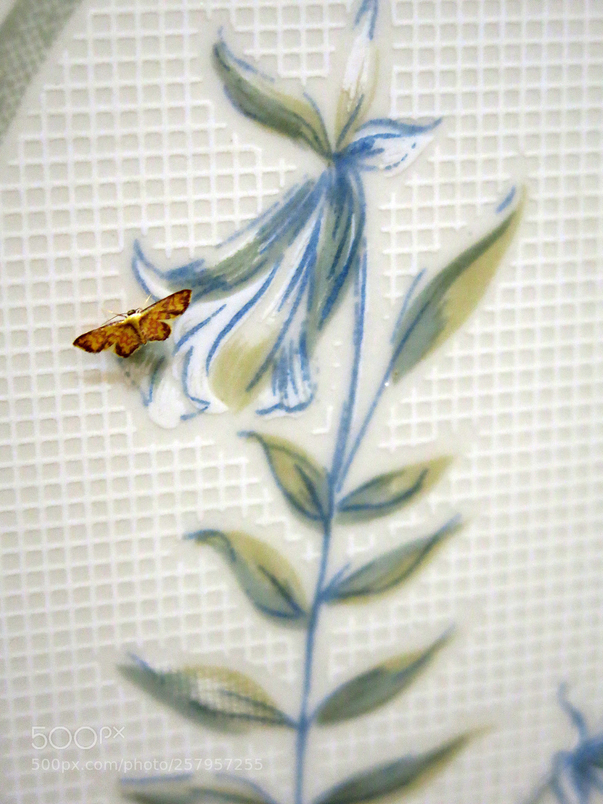 Canon PowerShot G15 sample photo. Img 1113-0.jpg butterfly on photography