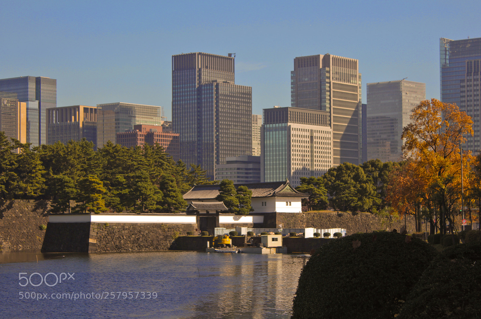 Canon EOS 550D (EOS Rebel T2i / EOS Kiss X4) sample photo. Tokyo imperial palace 3 photography