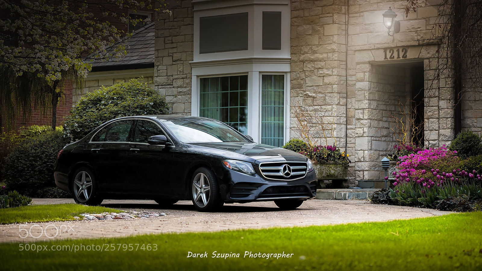 Nikon D610 sample photo. M like... monday morning photography