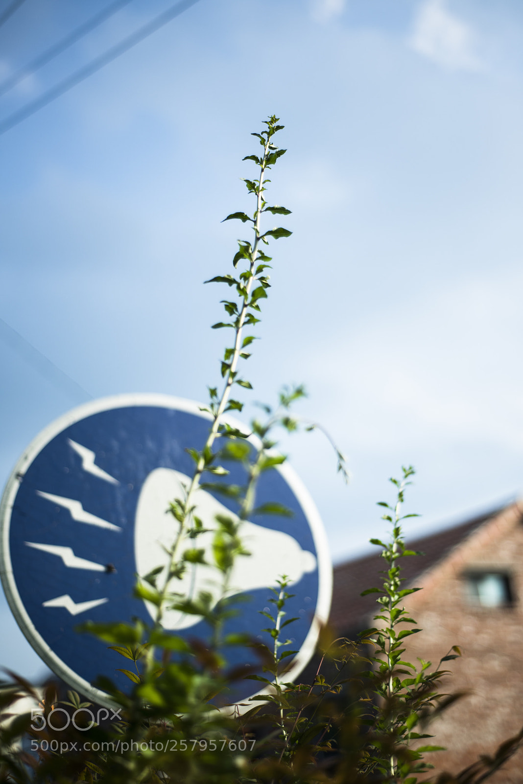Nikon D810 sample photo. In a town   no.24 photography