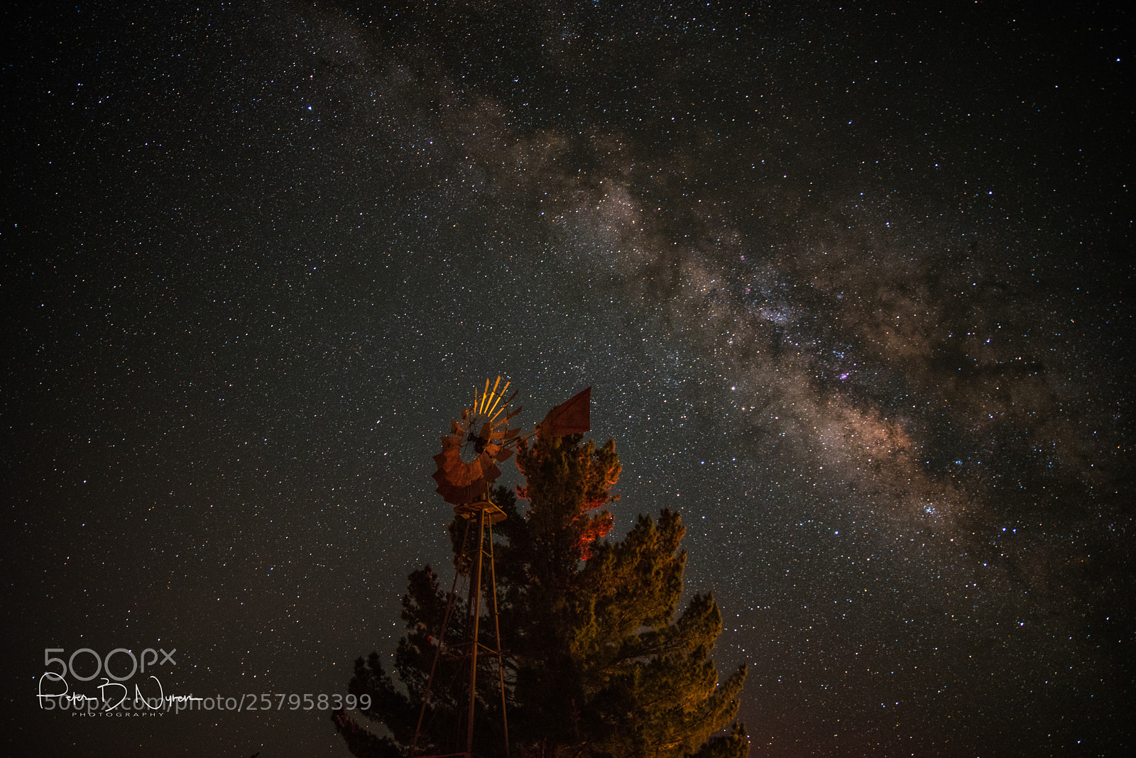 Nikon D750 sample photo. Milky way and the photography