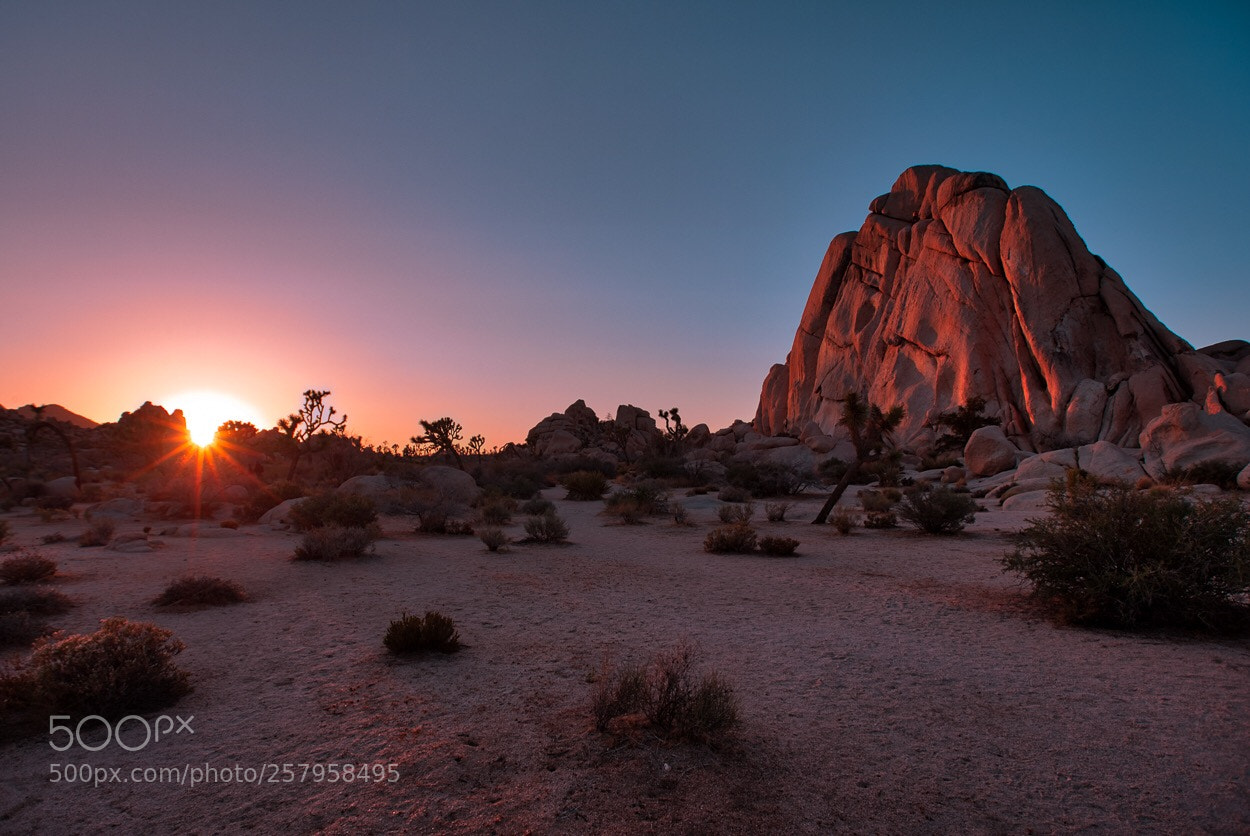 Canon EOS 5D Mark II sample photo. Joshua tree national park, 2018.  photography