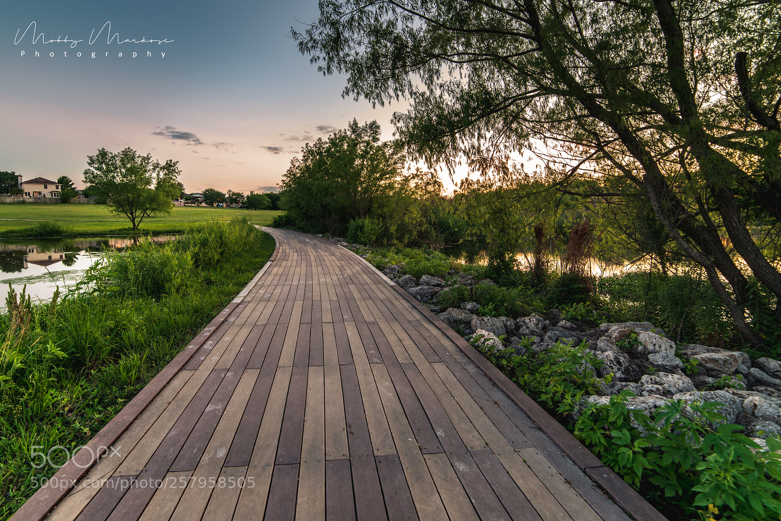 Nikon D750 sample photo. A walk in the photography