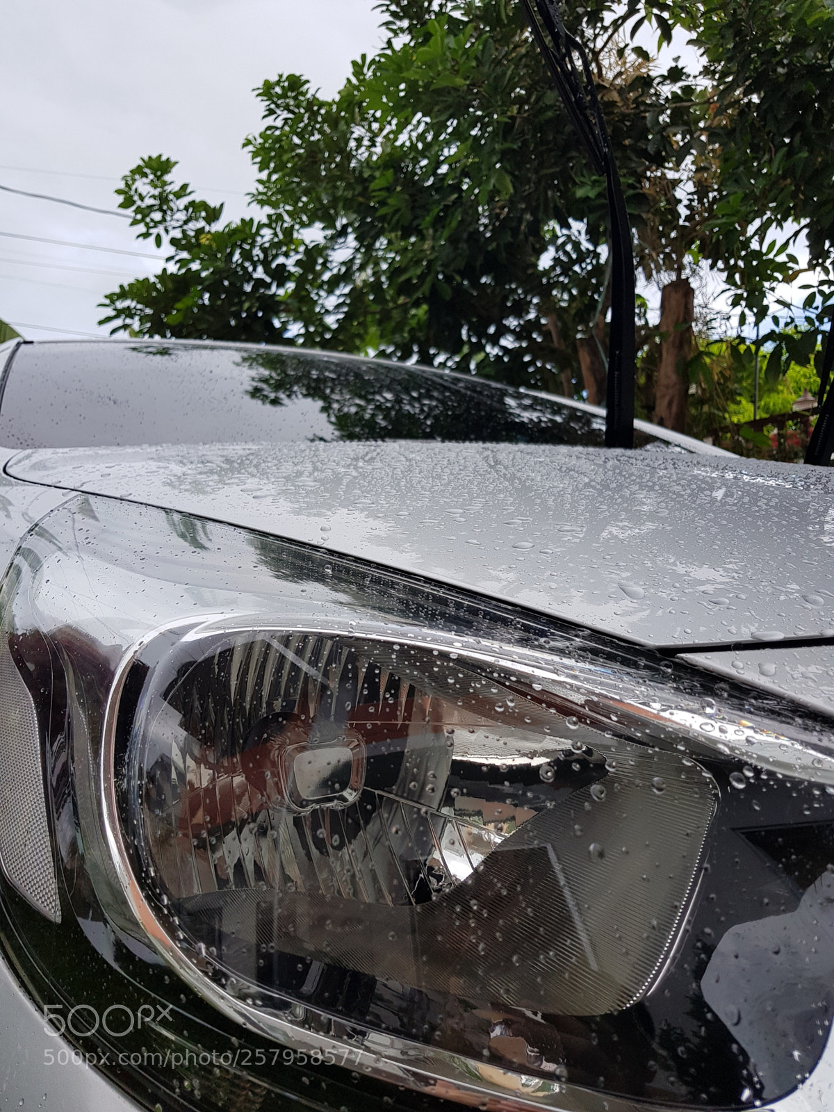 Samsung Galaxy S8 sample photo. Untitled photography